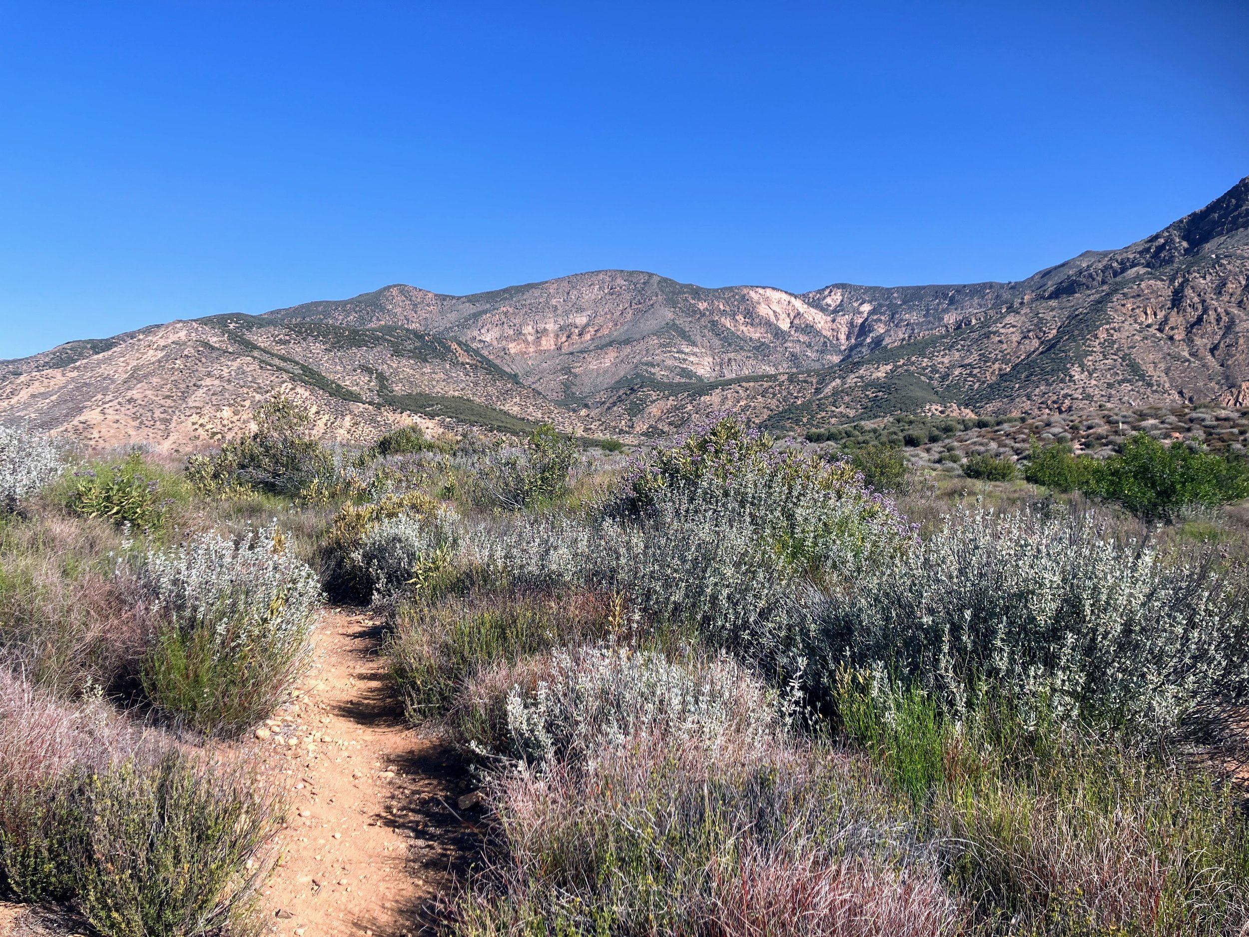 Sespe River Trail