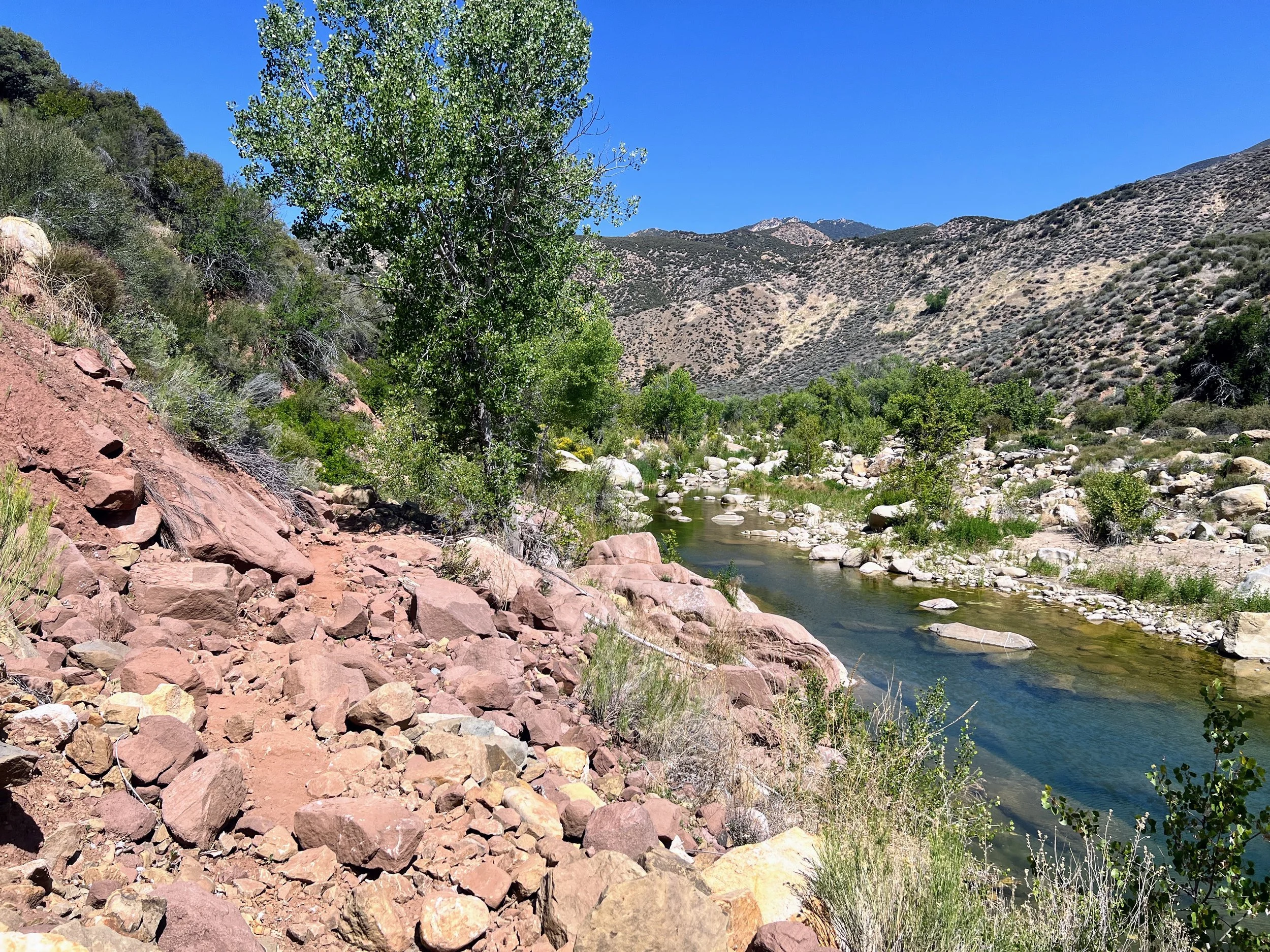 Sespe River