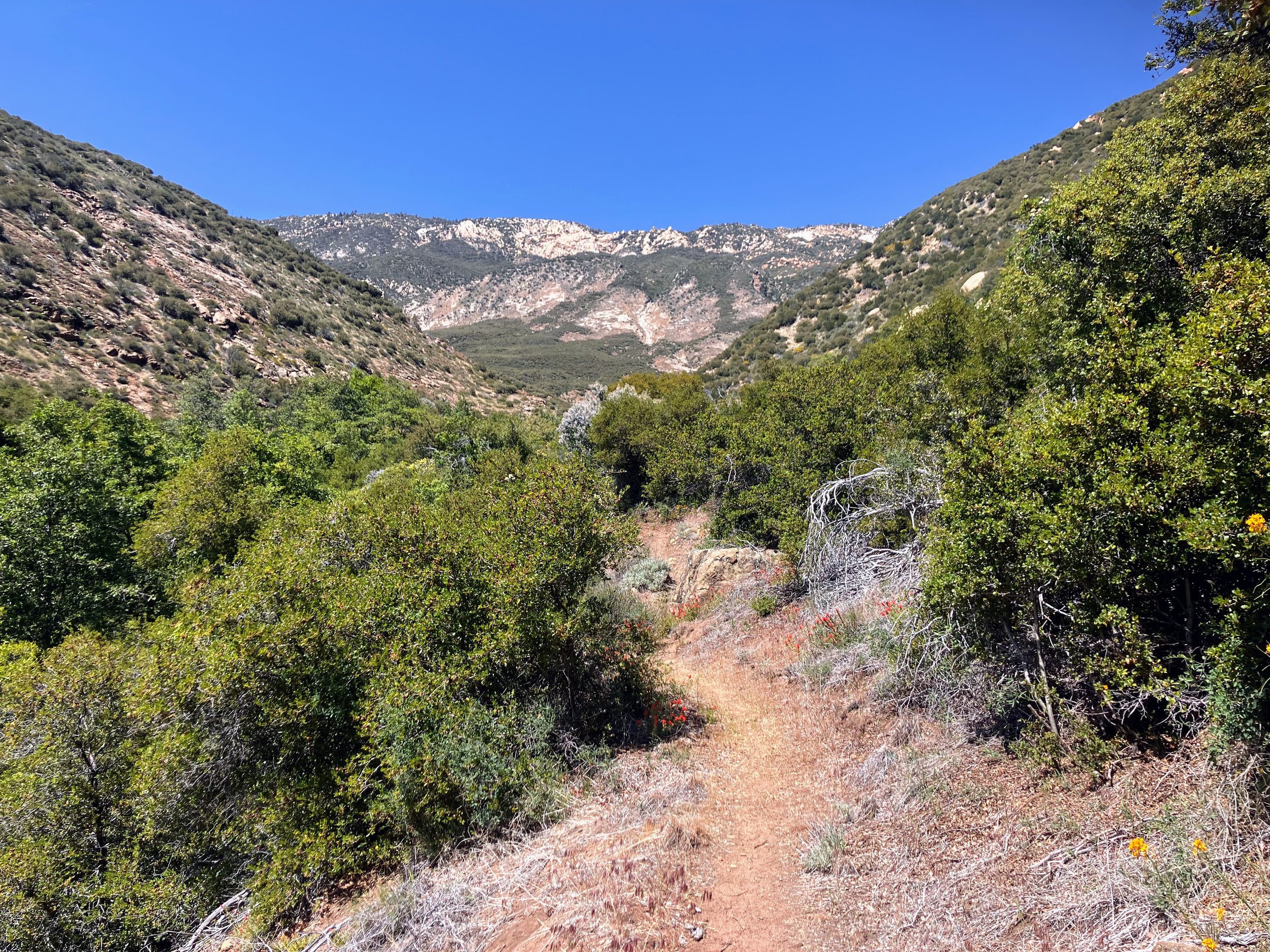 Piedra Blanca Trail