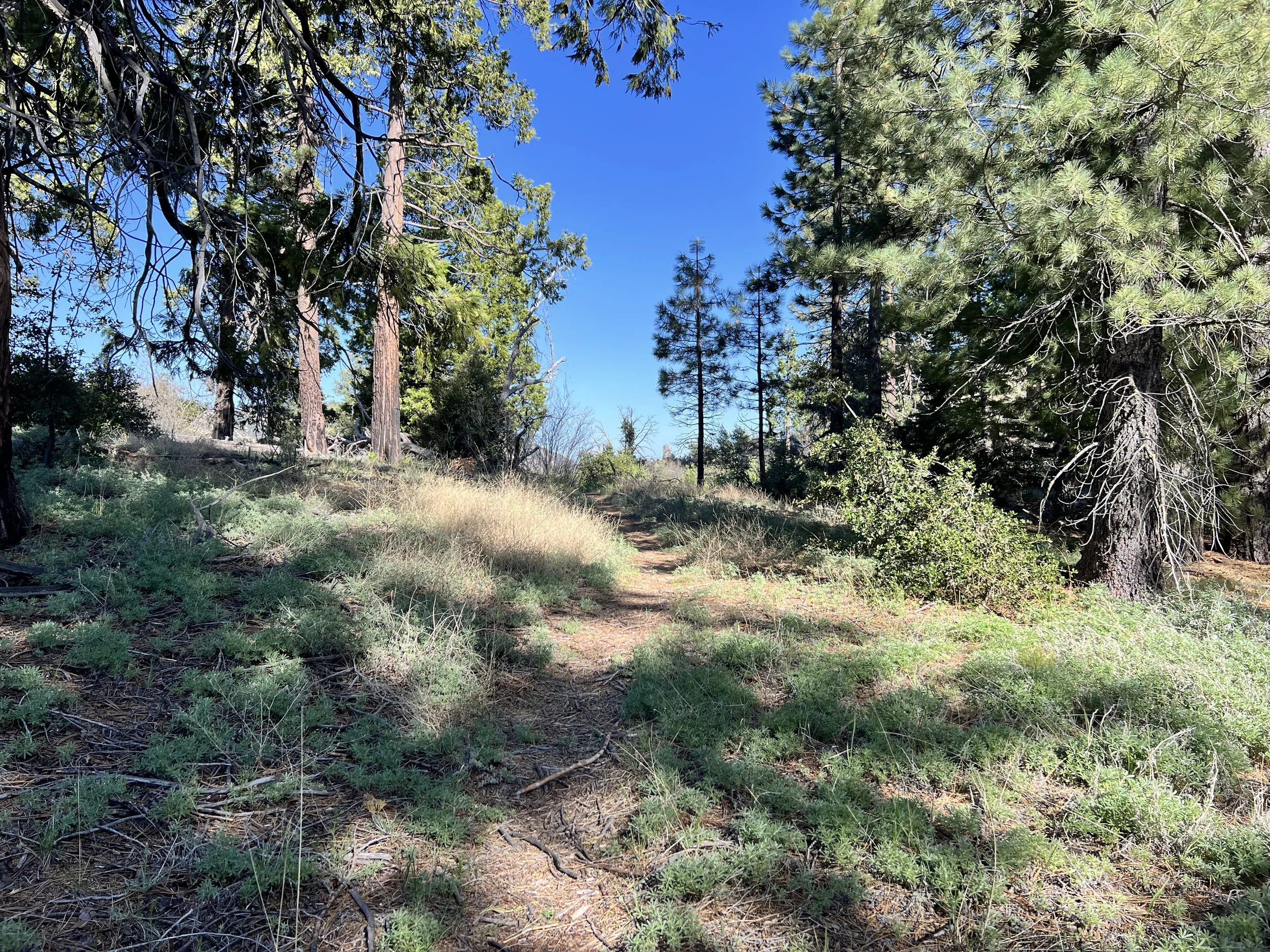 Piedra Blanca Trail