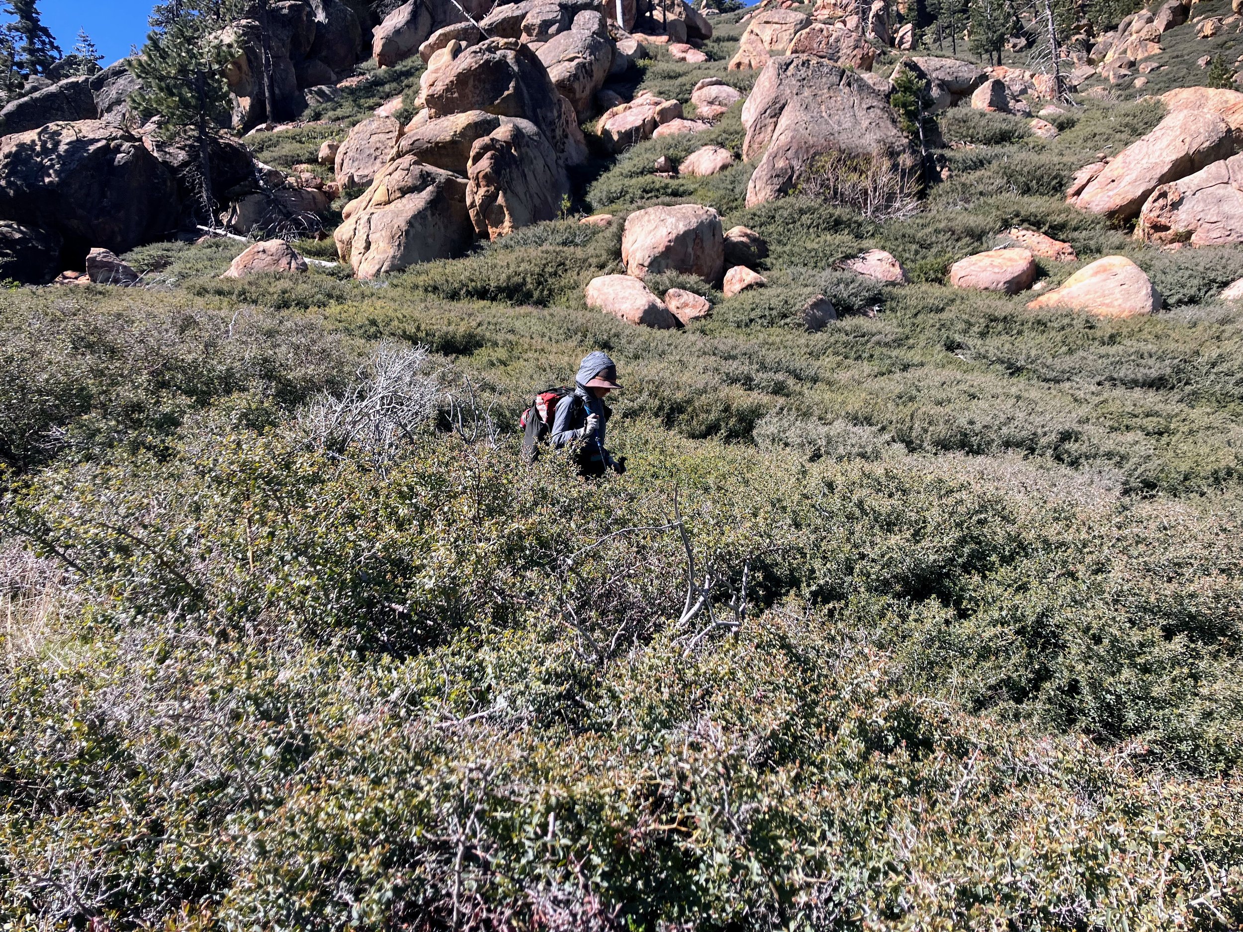 Me on Reyes Peak Trail