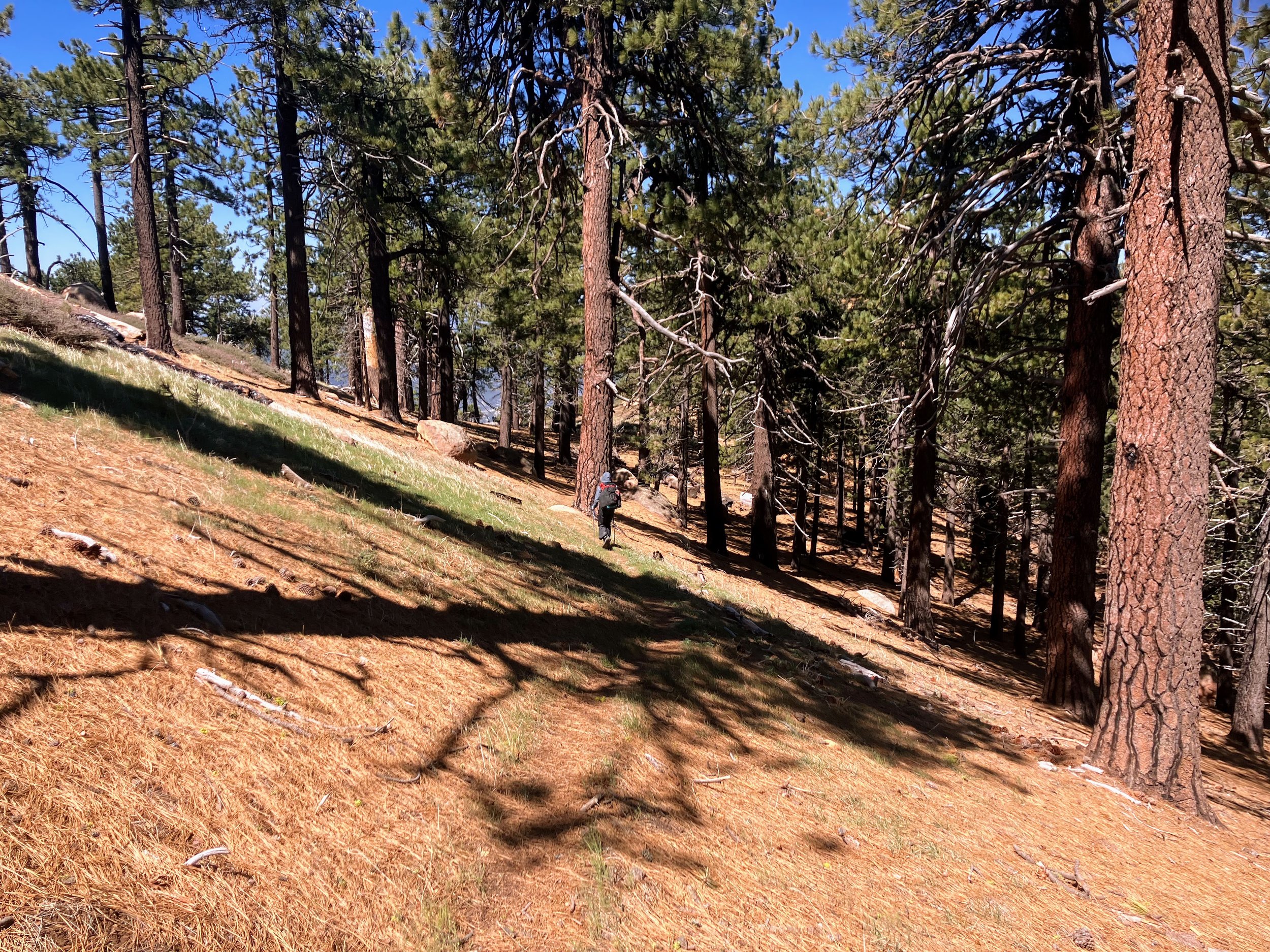 Me on Reyes Peak Trail