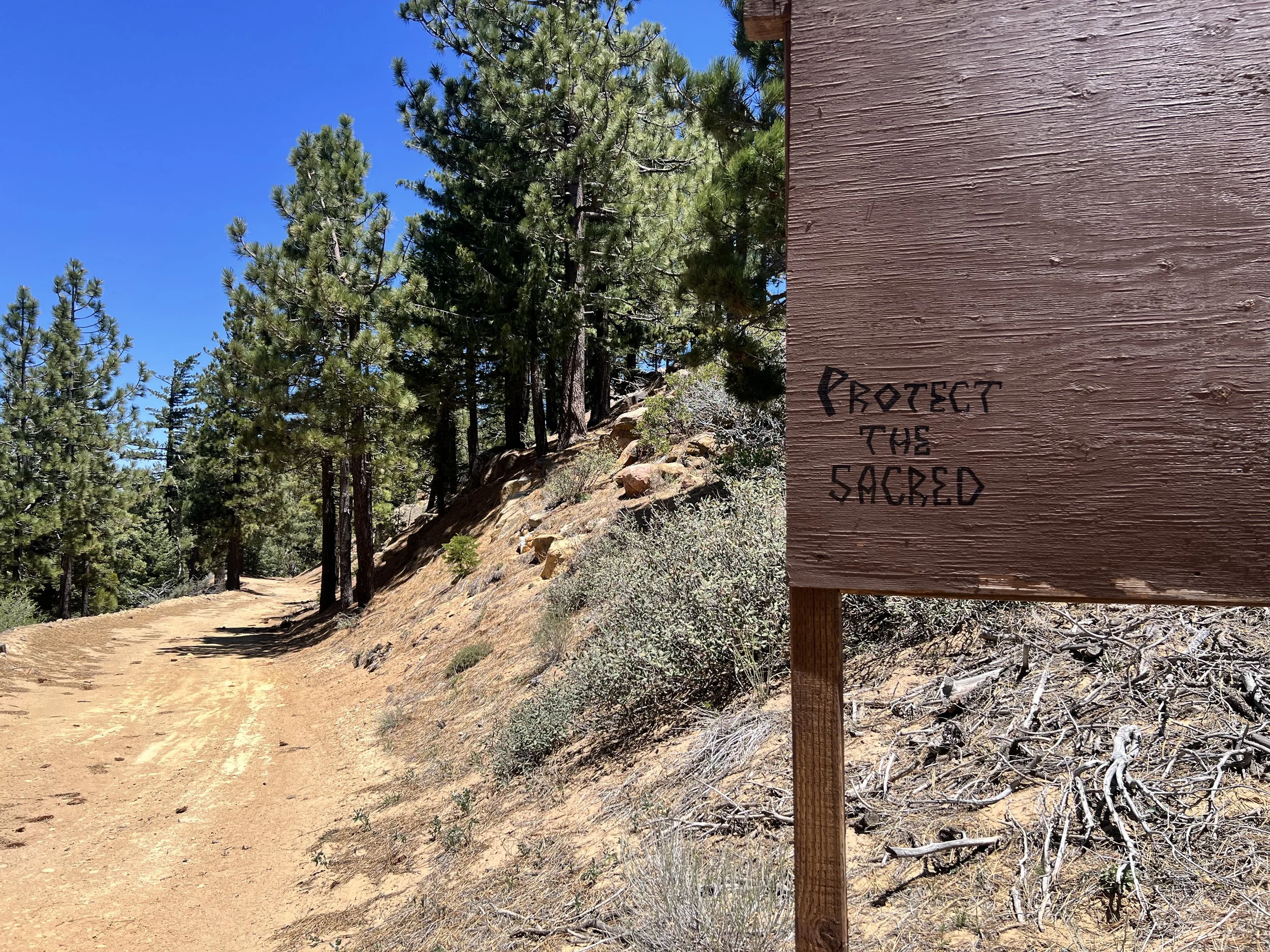 Pine Mountain Ridge Road