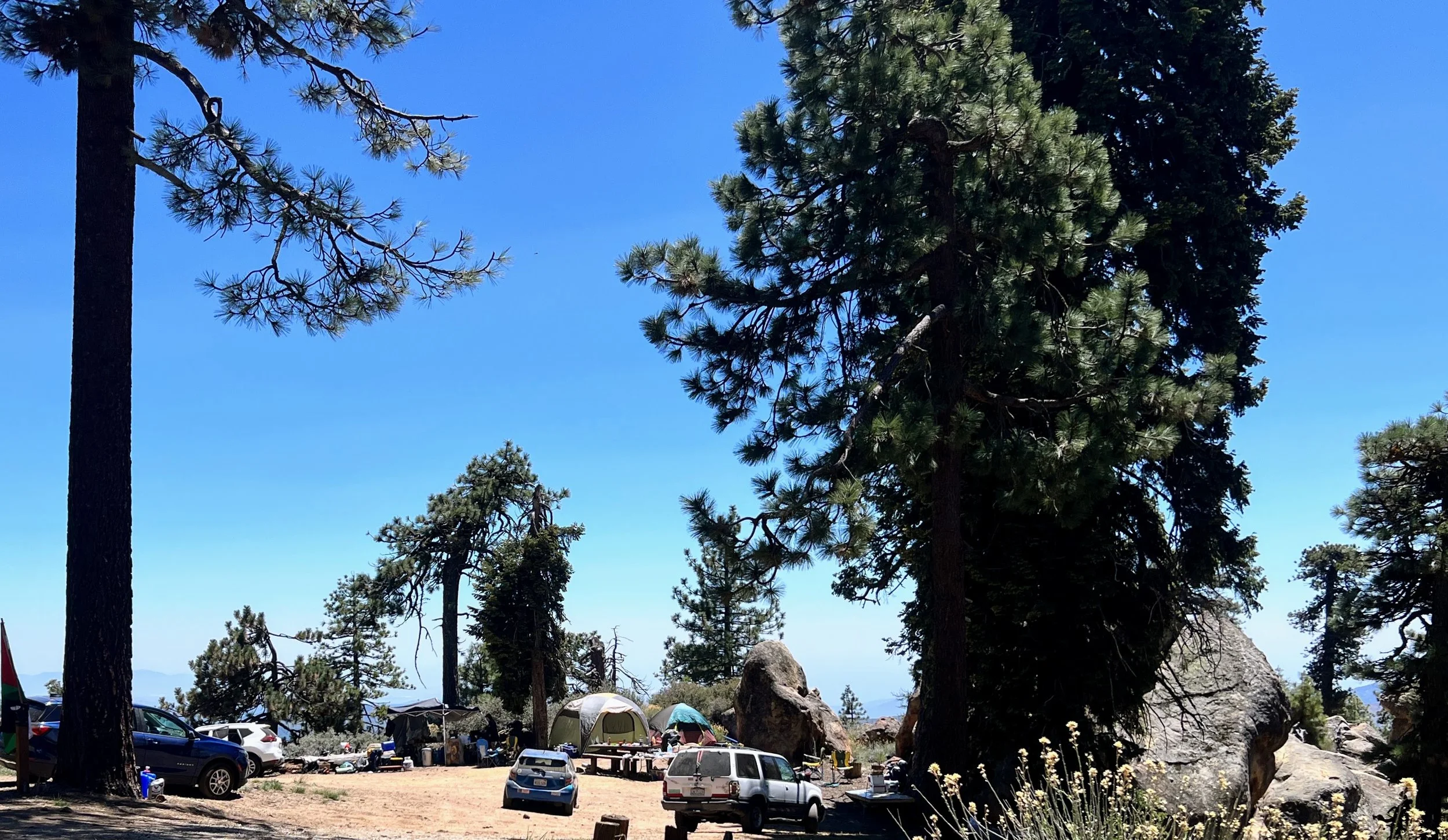 Protest on Pine Mountain Ridge Road