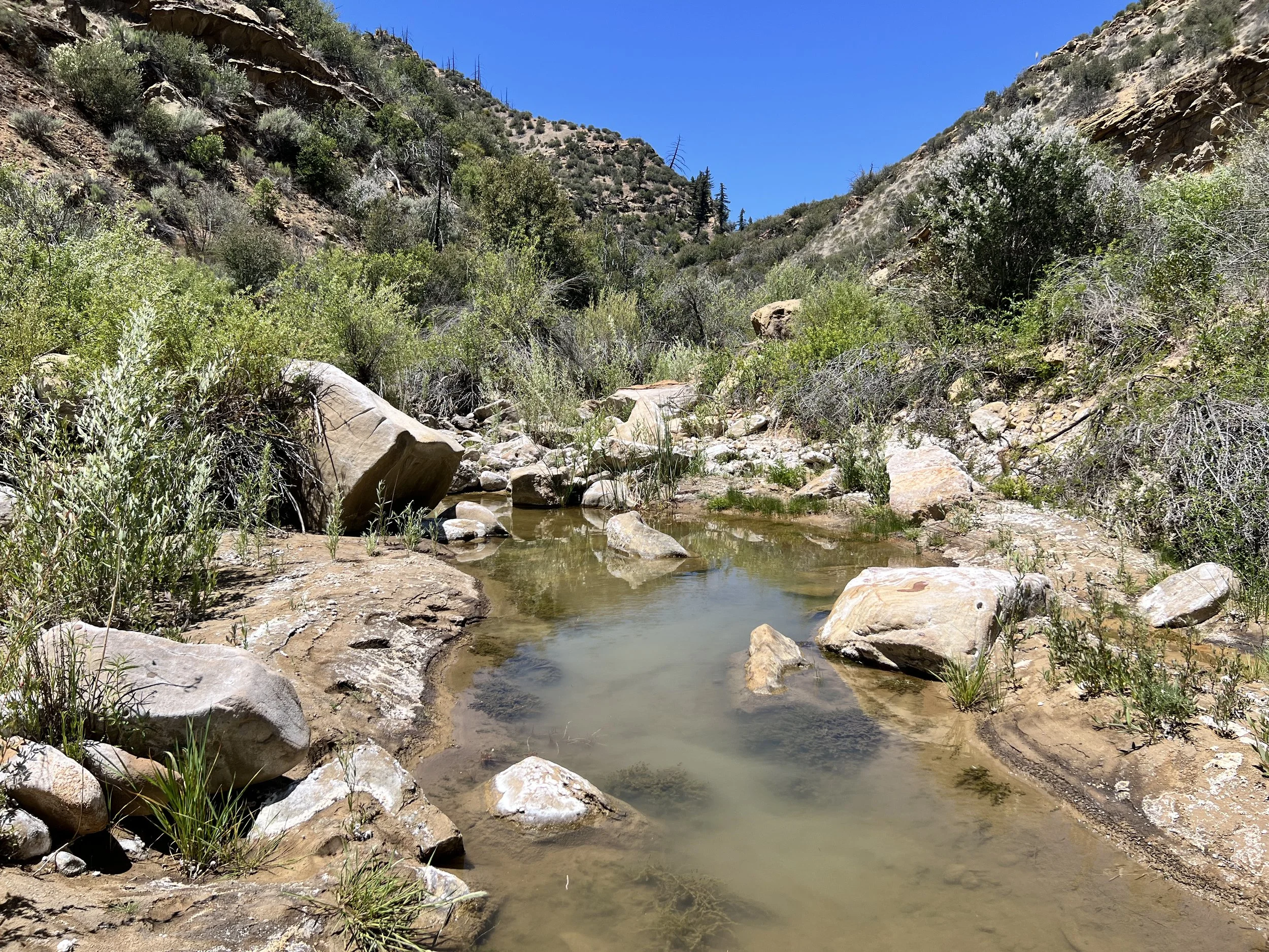 Rancho Nuevo Creek