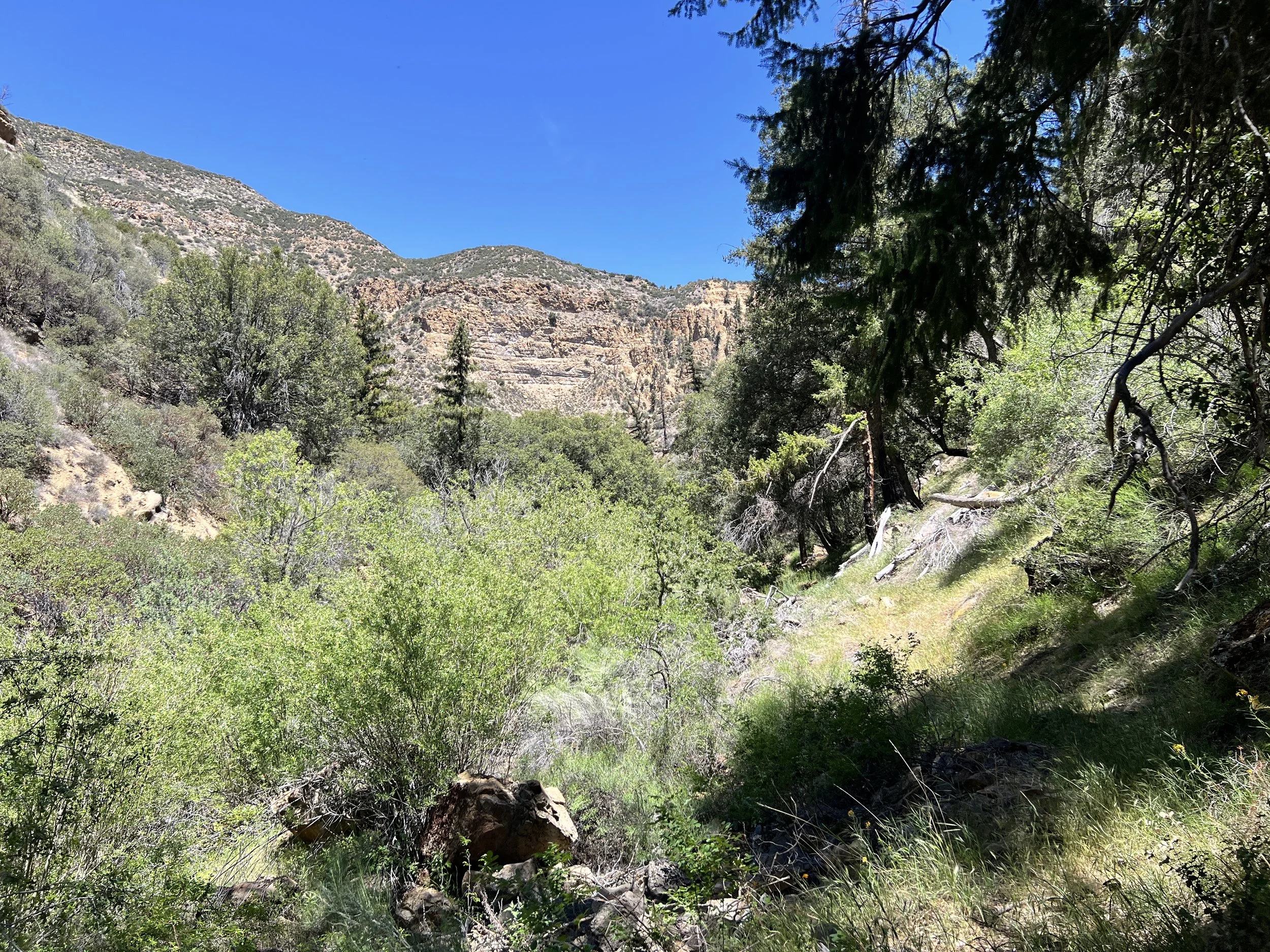 Rancho Nuevo Trail
