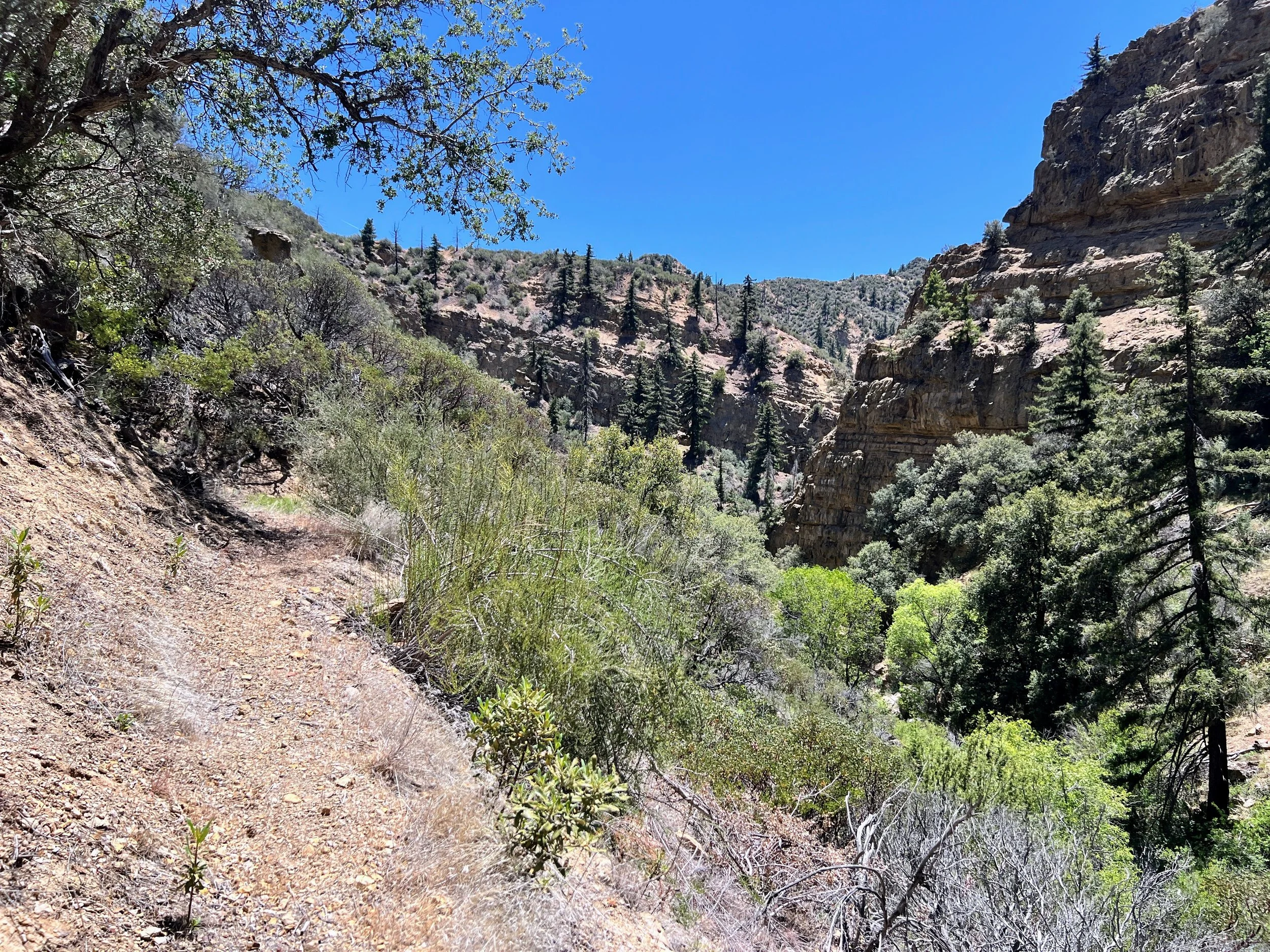 Rancho Nuevo Trail