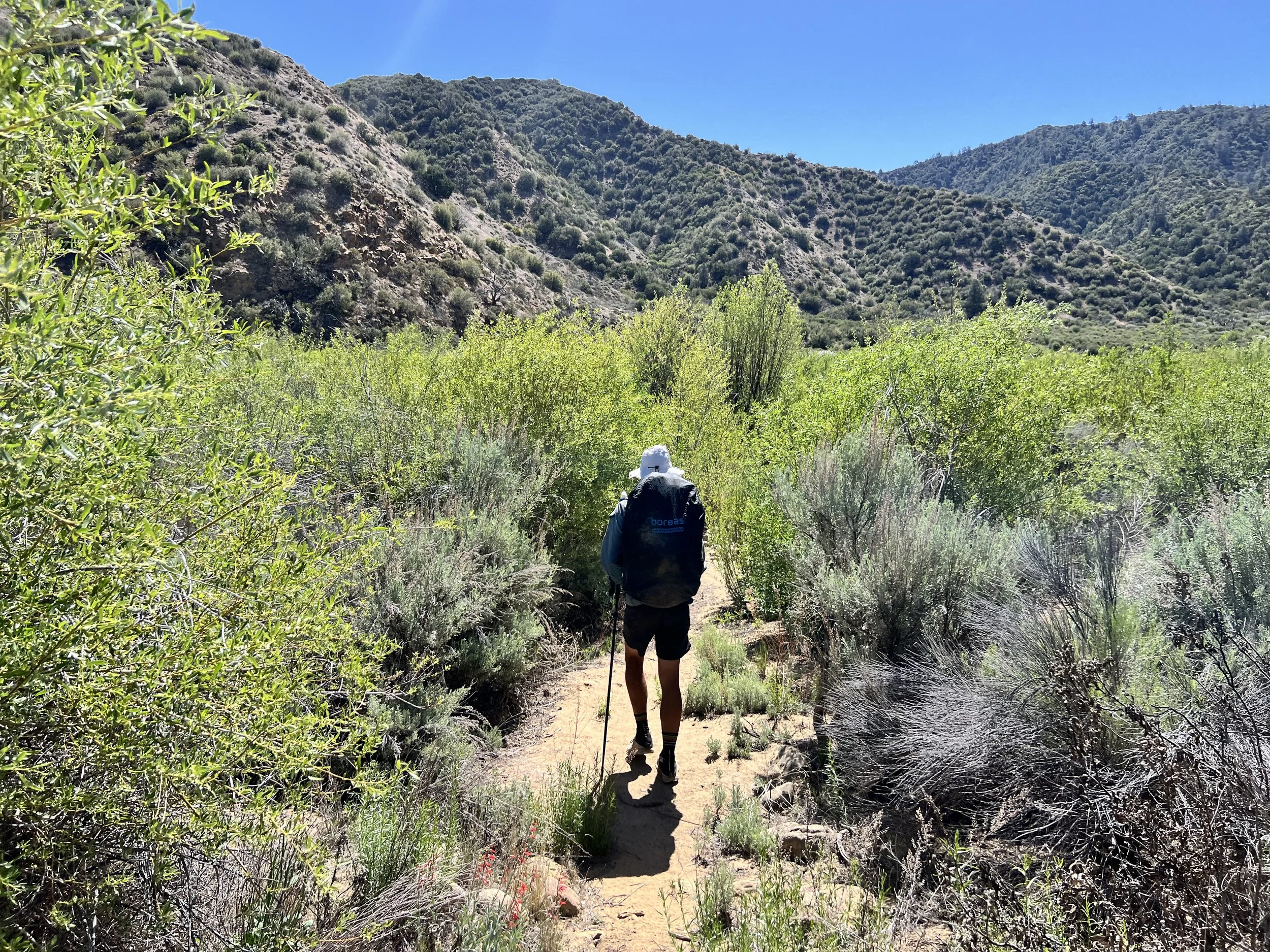 Cosmo on Santa Barbara Canyon Trail