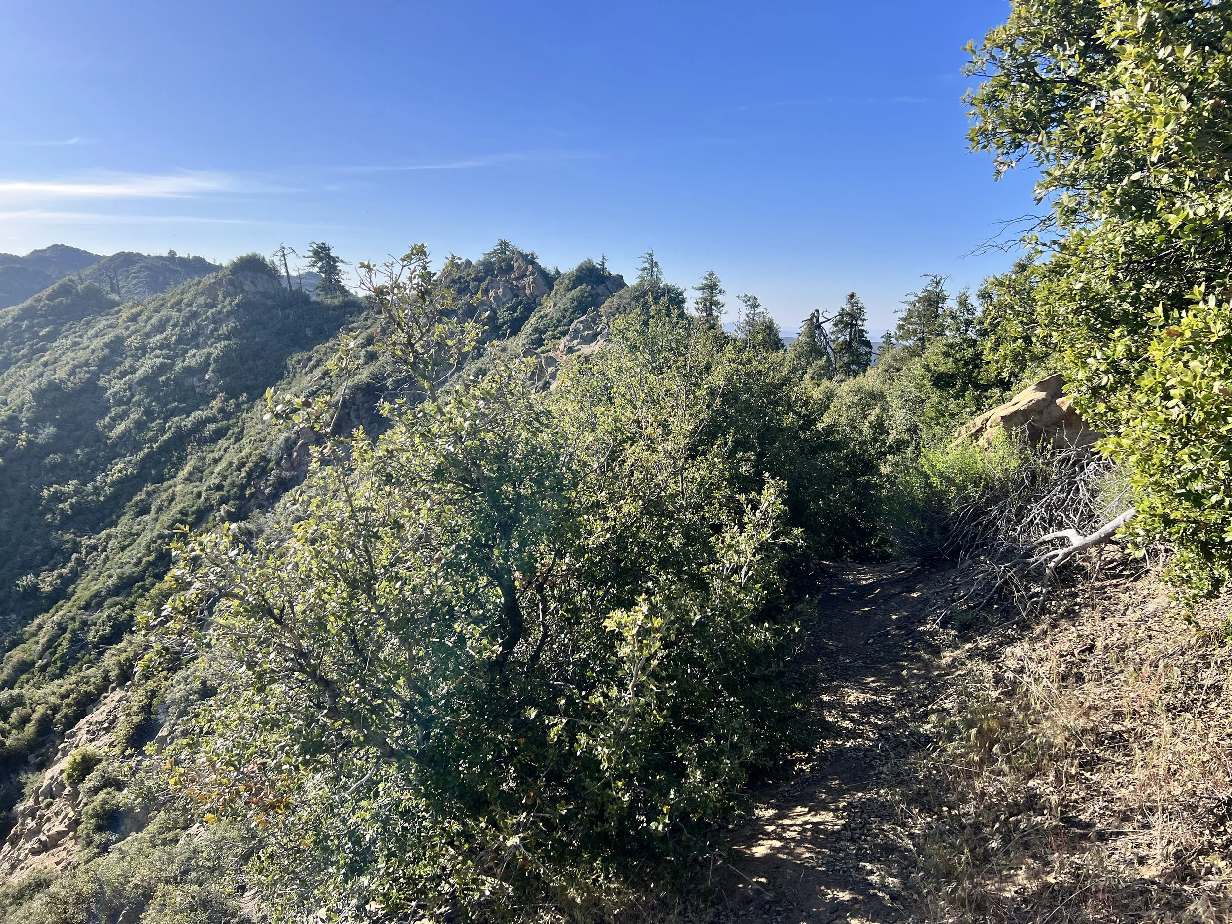 Madulce Trail / Ridge