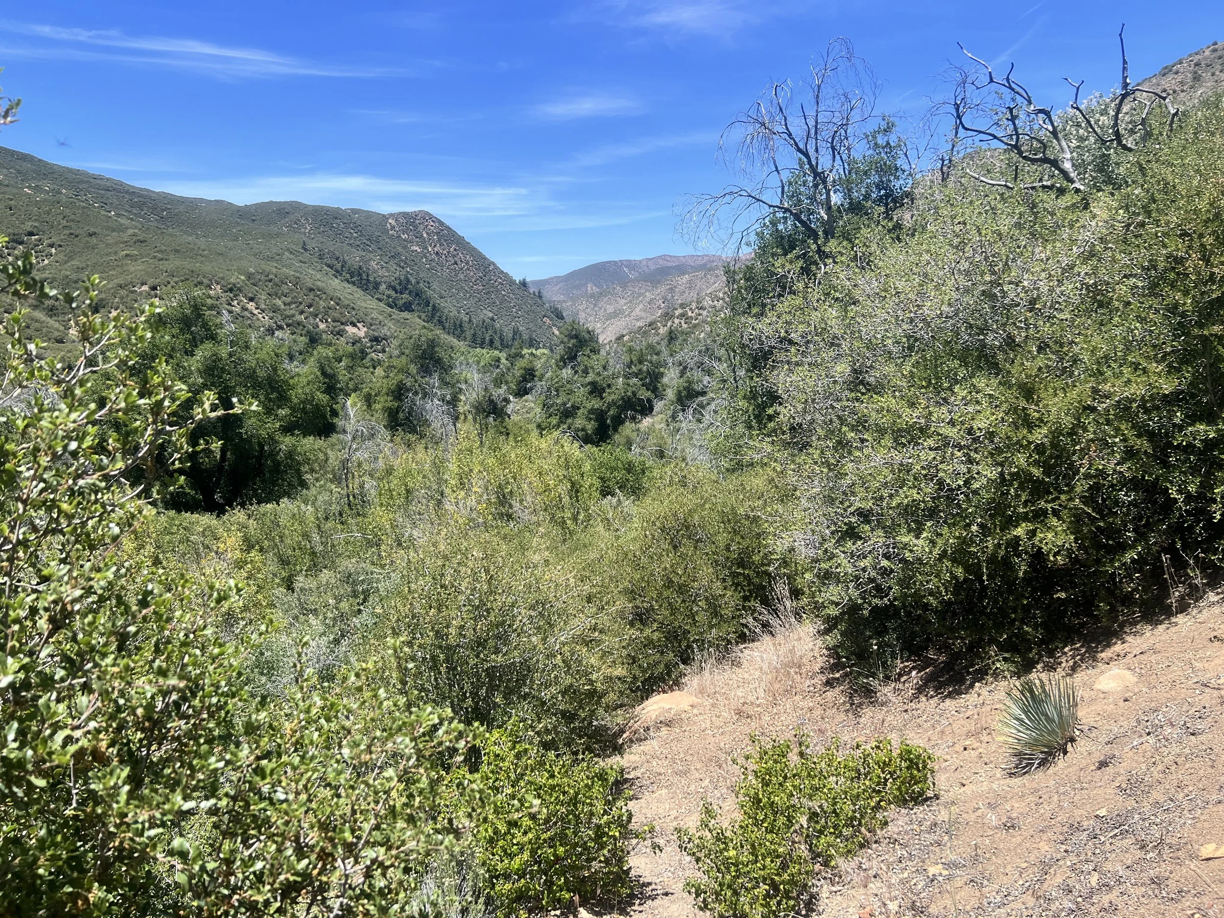 Sisquoc River Trail