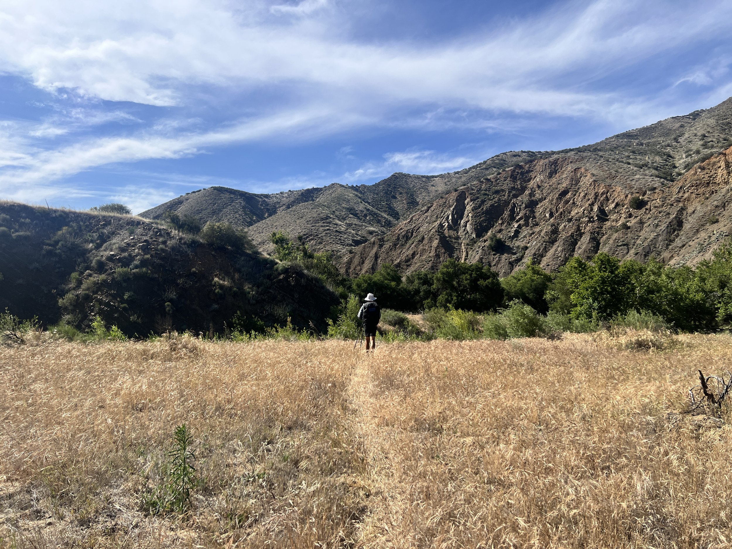 Cosmo on Sisquoc River Trail