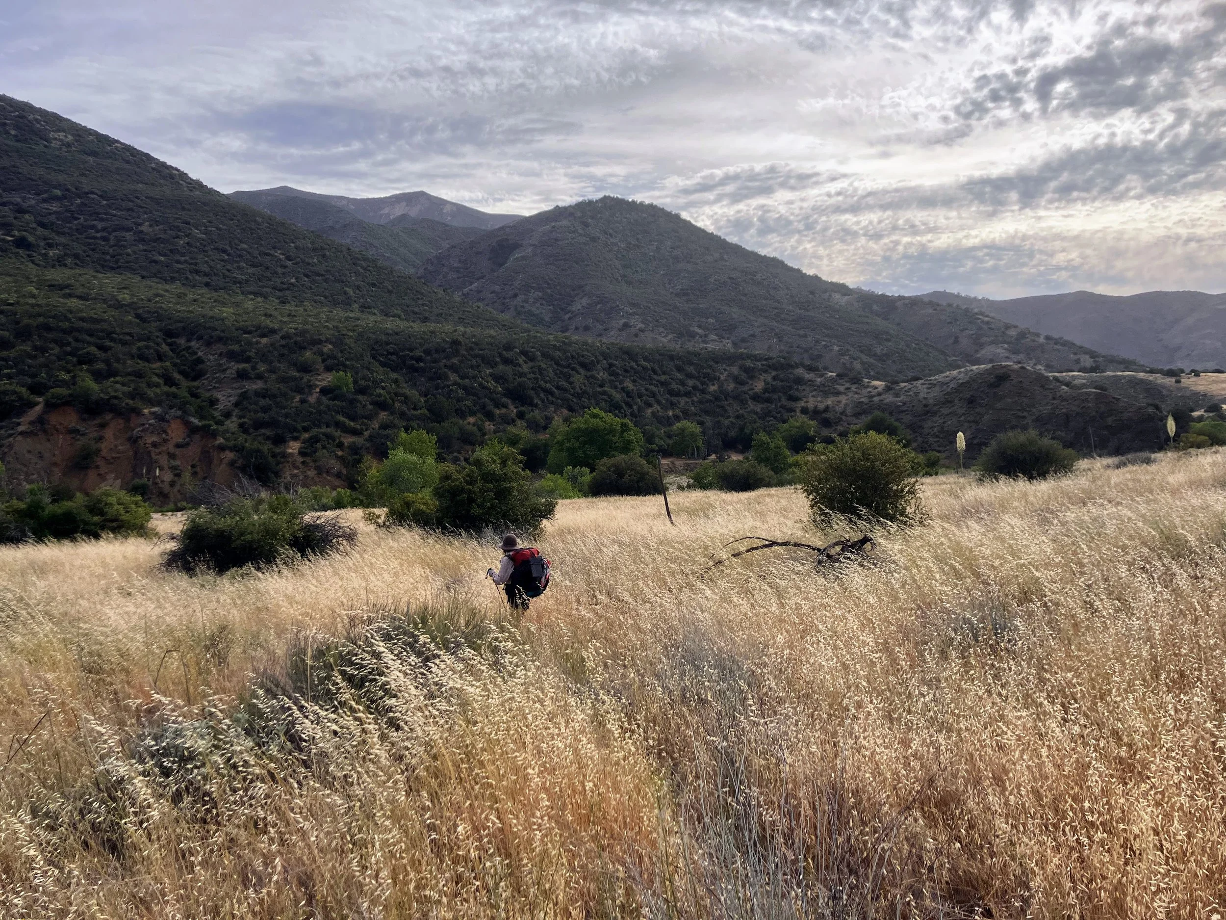 Me on Sisquoc River Trail
