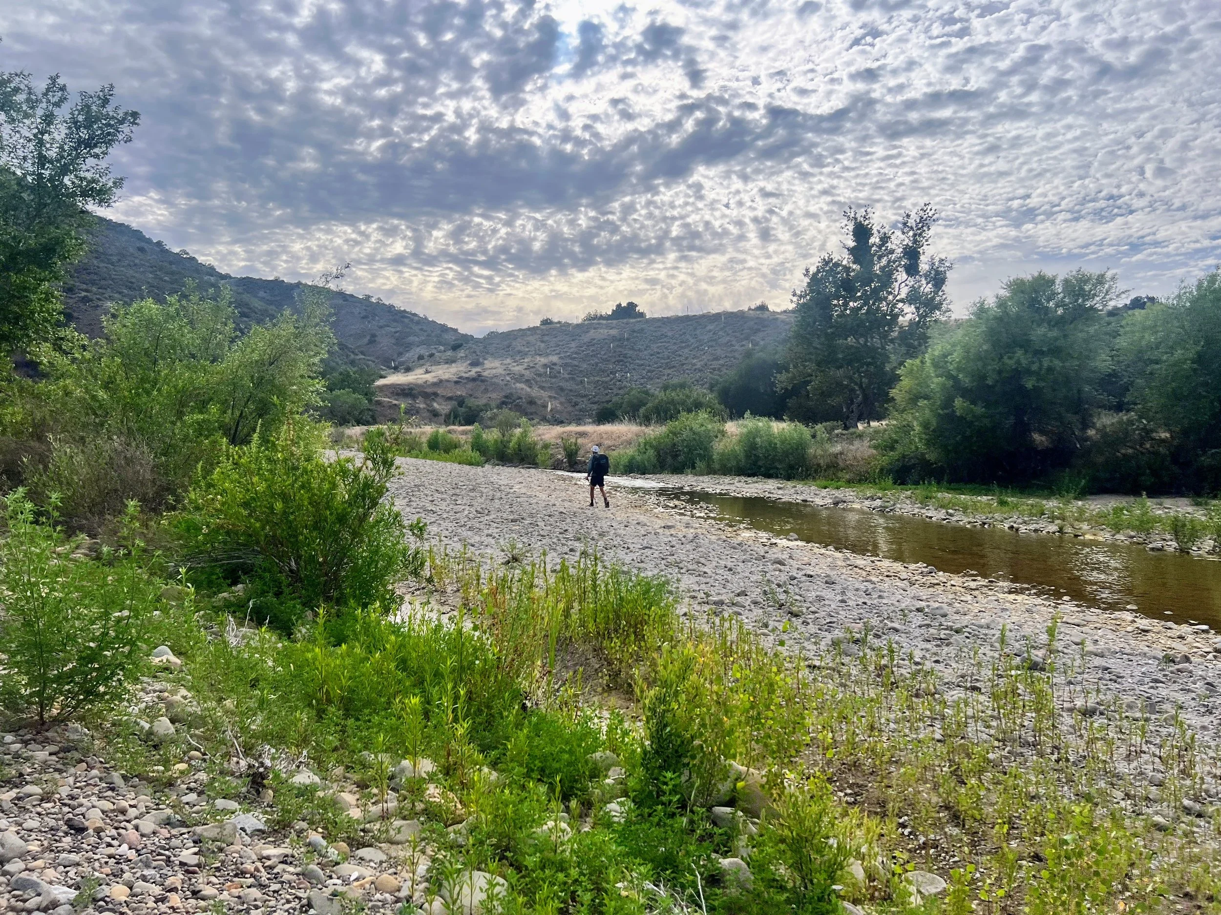 Cosmo on Sisquoc River Trail