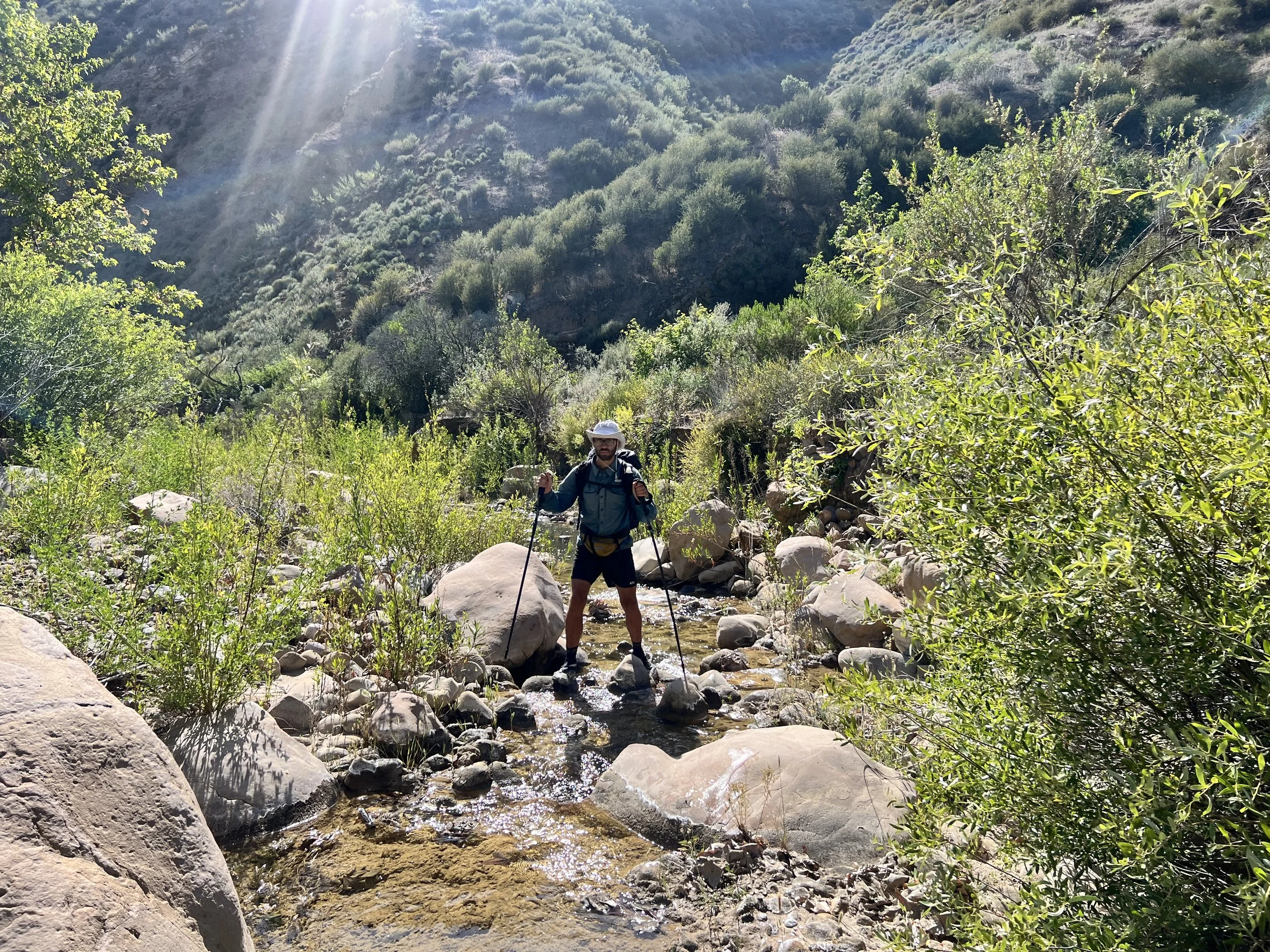 Cosmo on Horse Canyon / La Brea Trail