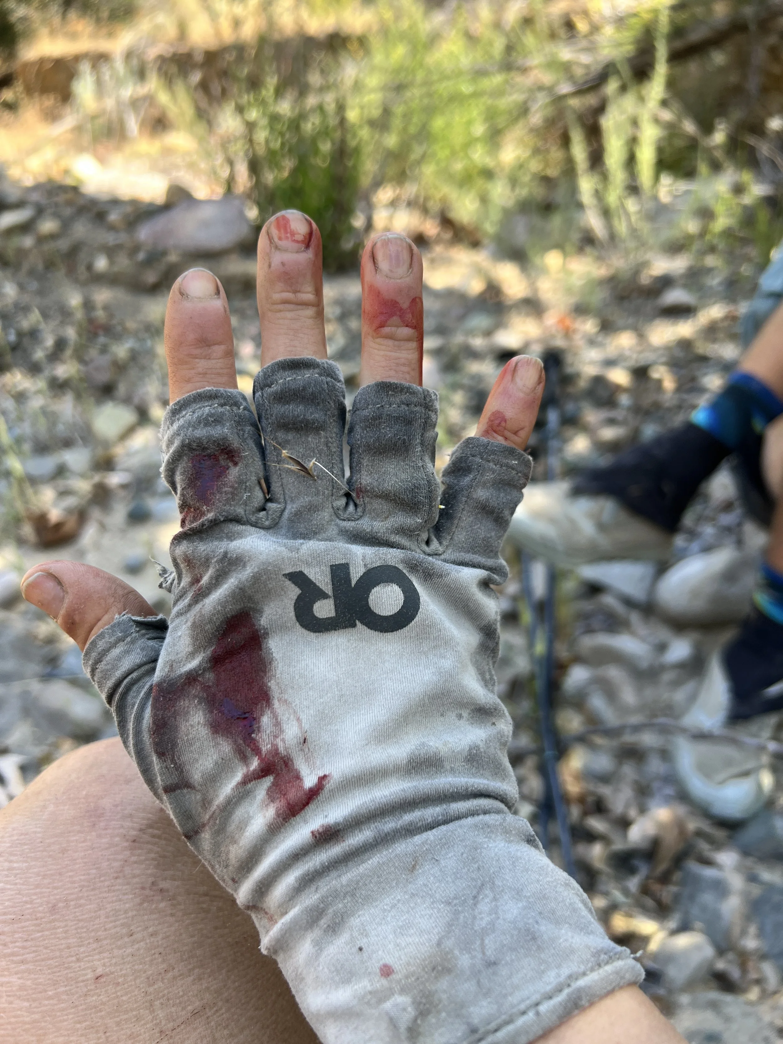 My tattered glove and blood from nose