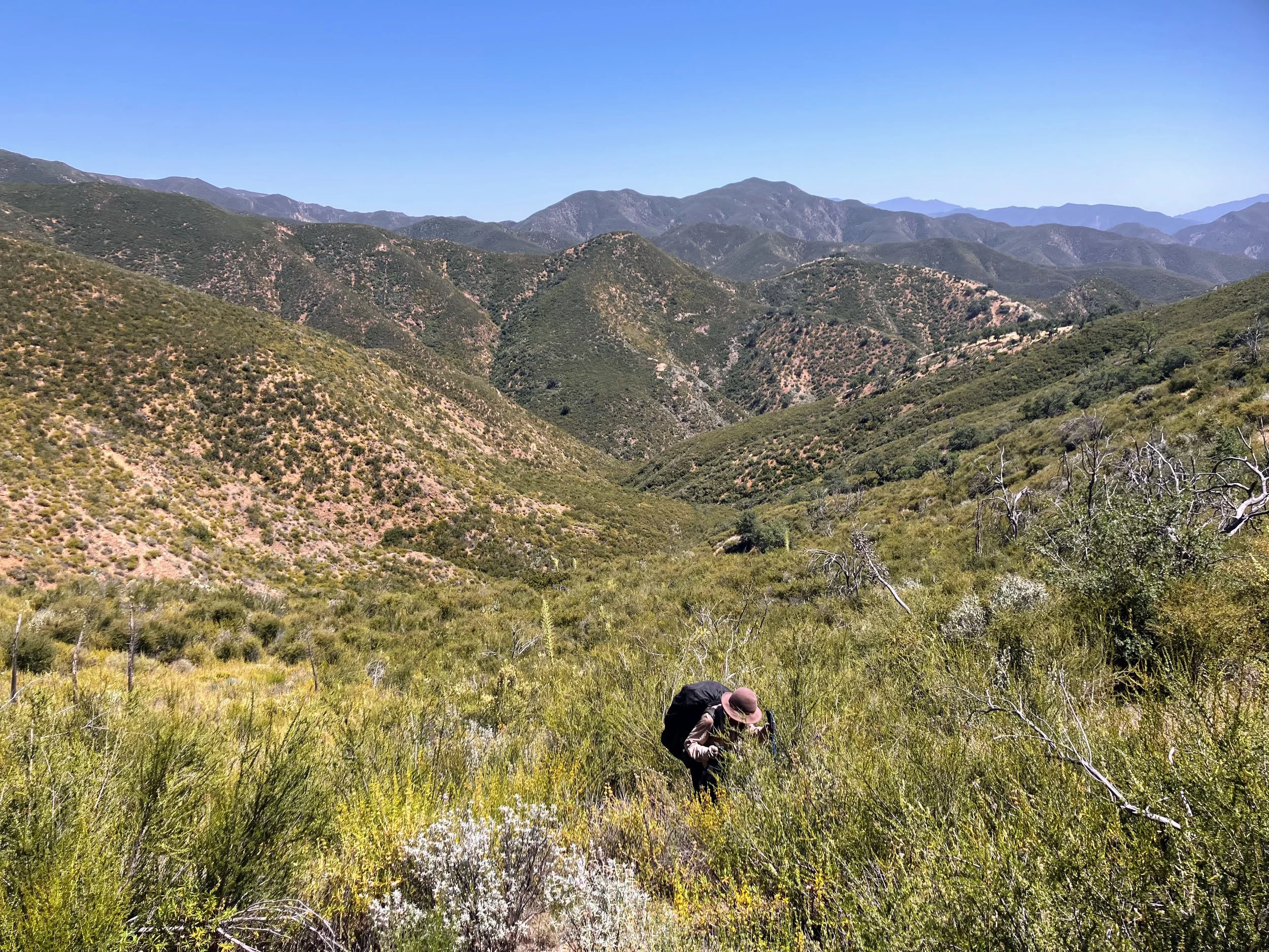 Me in Horse Canyon