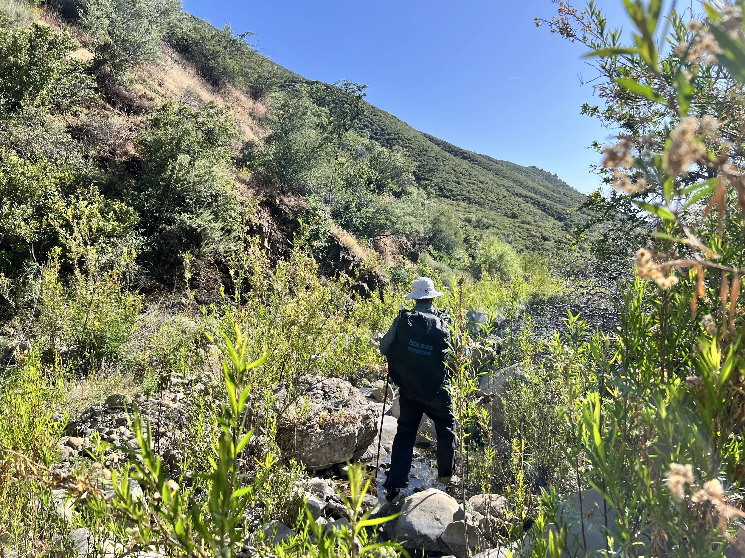 Cosmo in Roque Canyon