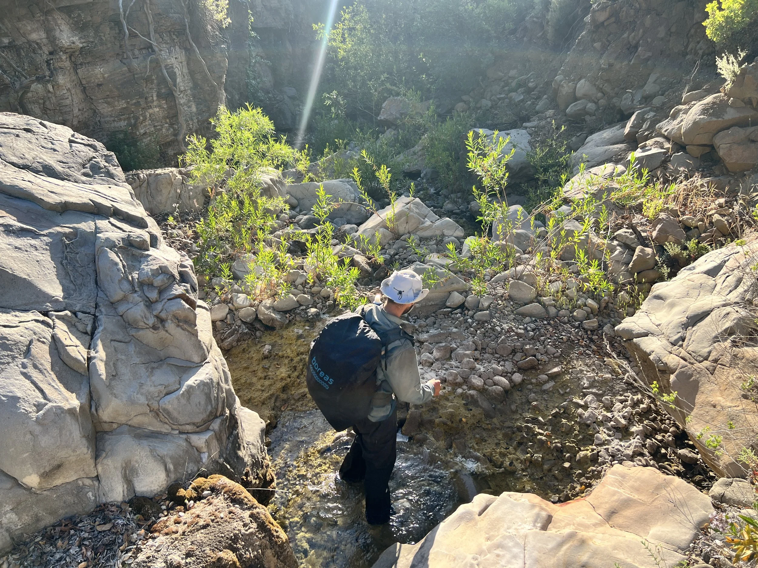 Cosmo in Roque Canyon