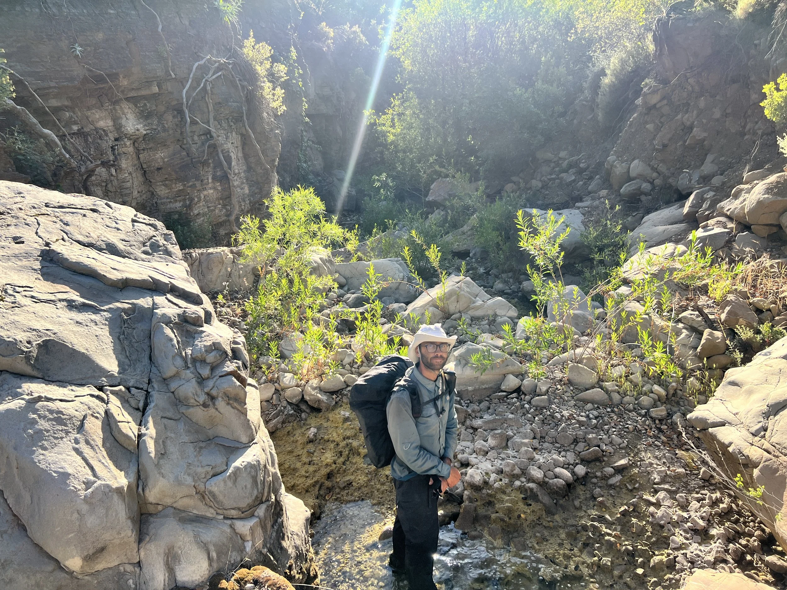 Cosmo in Roque Canyon