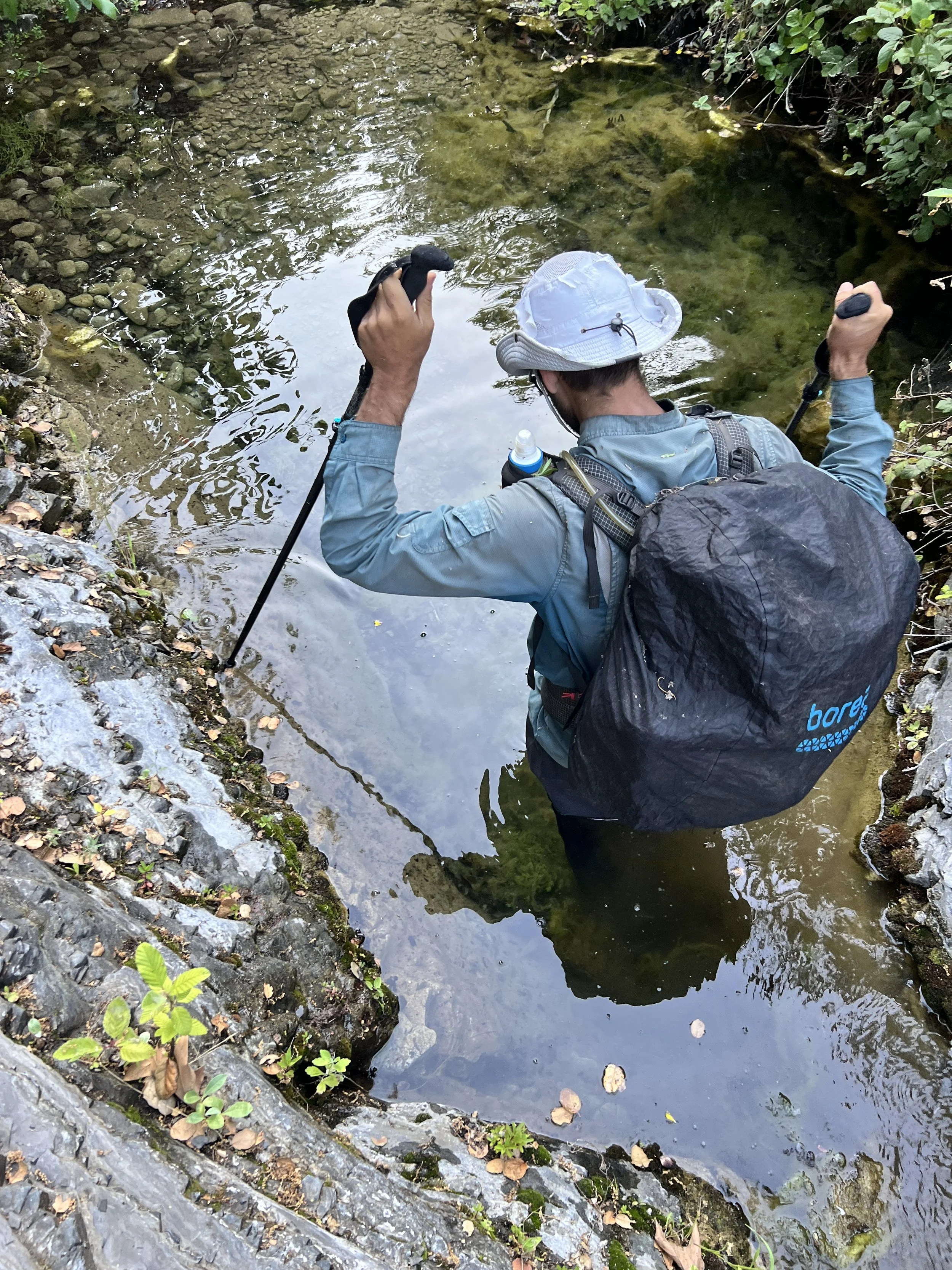 Cosmo in Roque Canyon