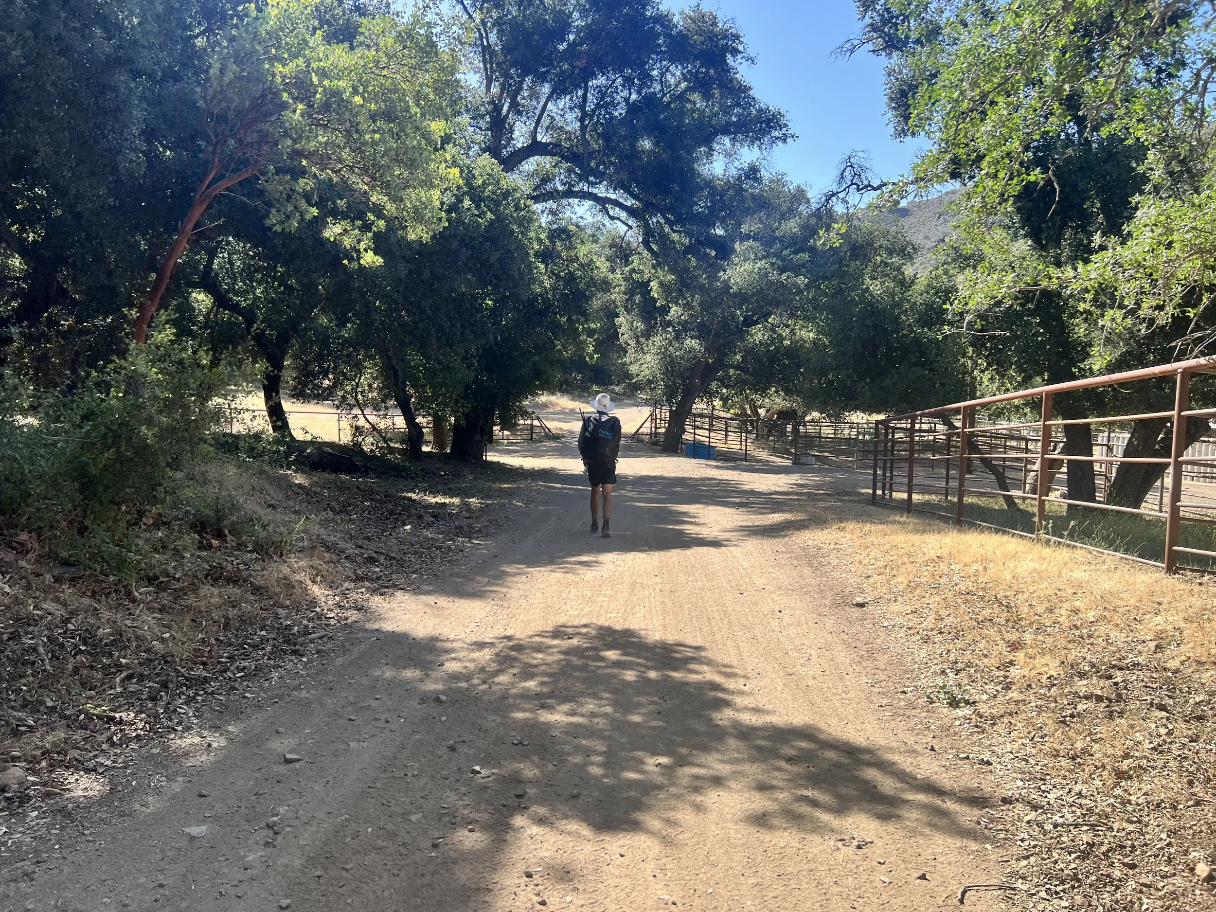 Cosmo on Pine Canyon Road