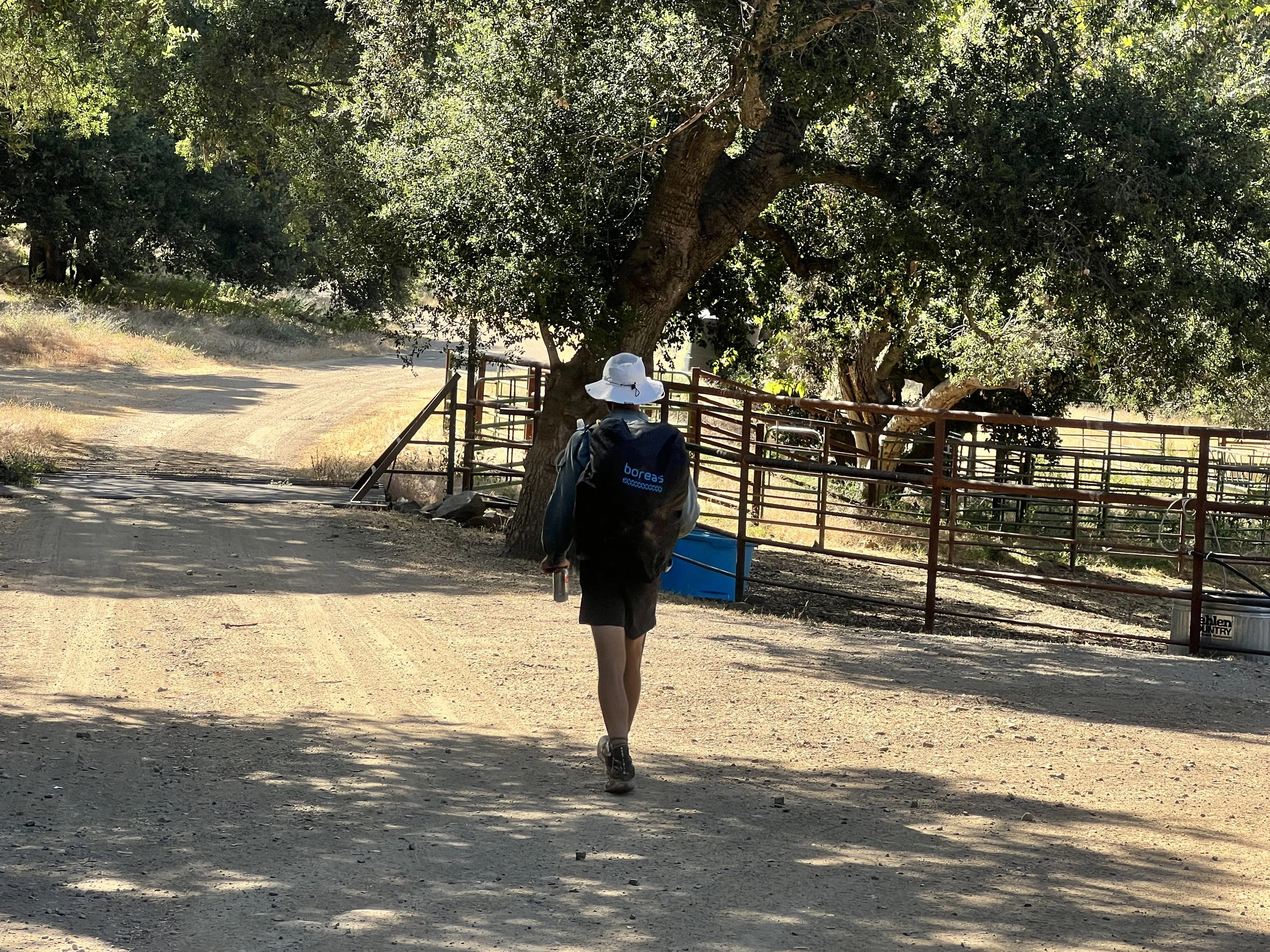 Cosmo on Pine Canyon Road