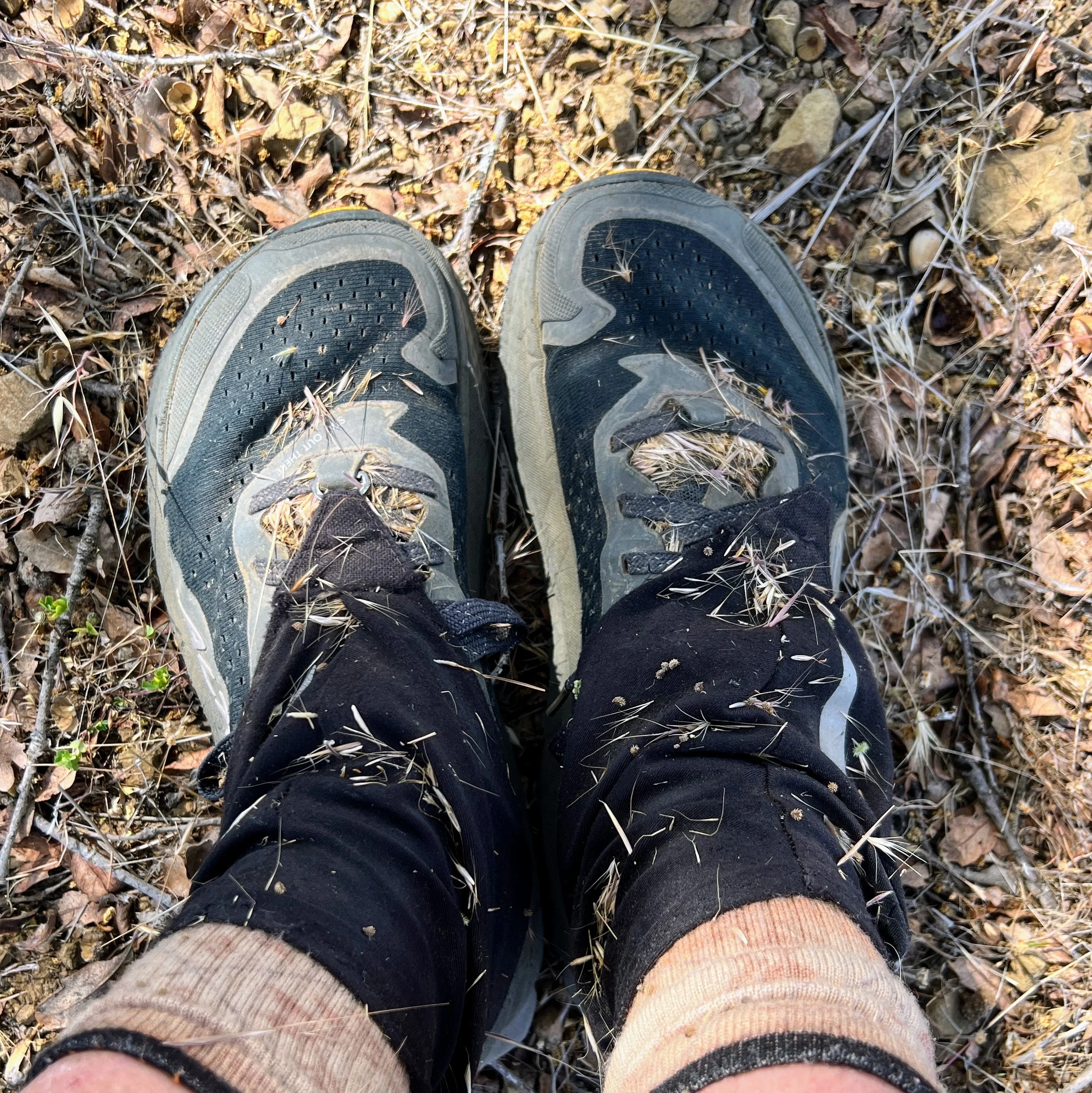 Rock Front Ridge OHV