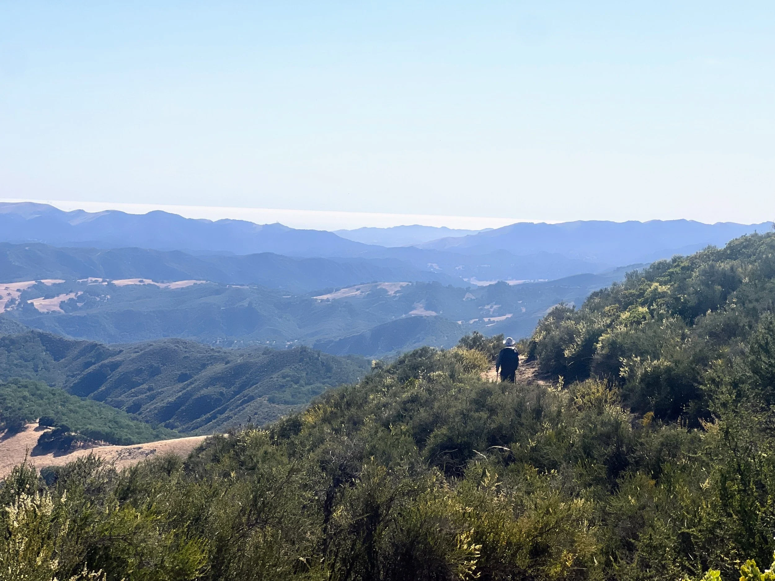 Trout Creek Trail / Avenales Trail