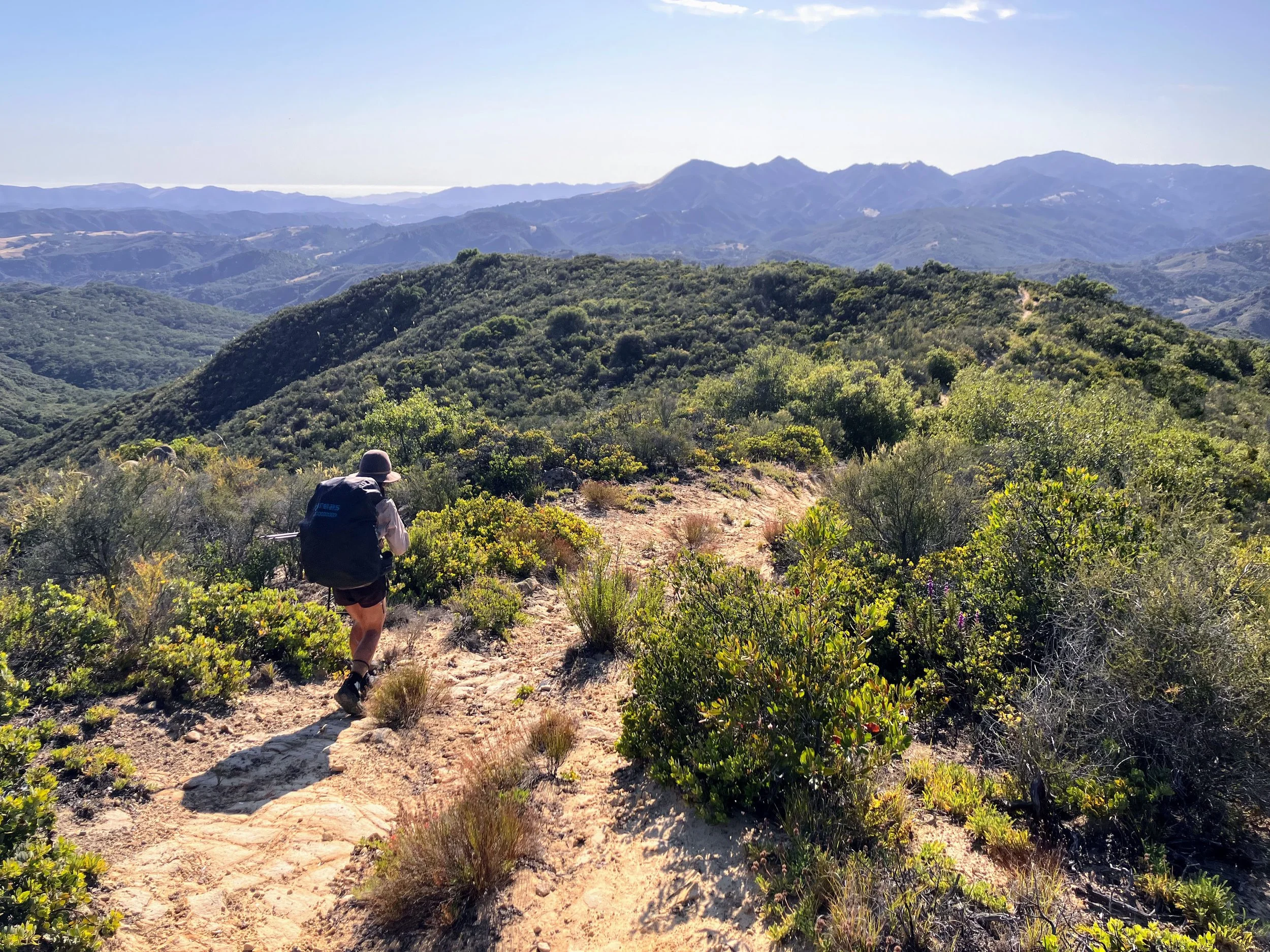 Trout Creek Trail / Avenales Trail