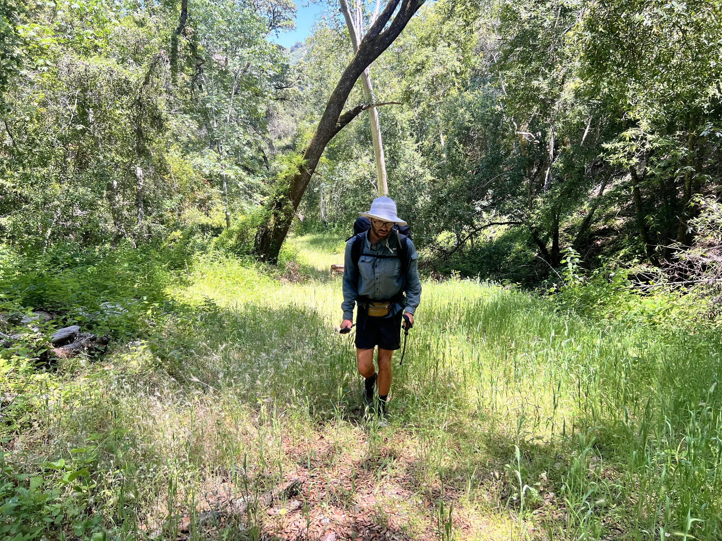Fern Canyon Alternate Route