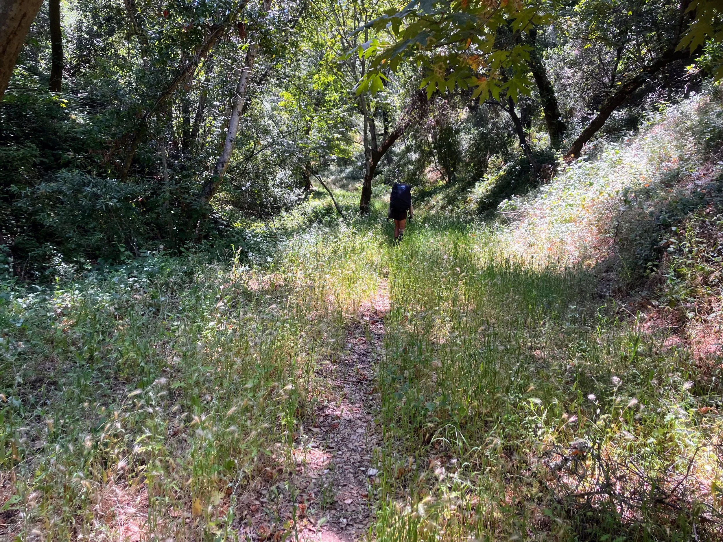 Fern Canyon Alternate Route