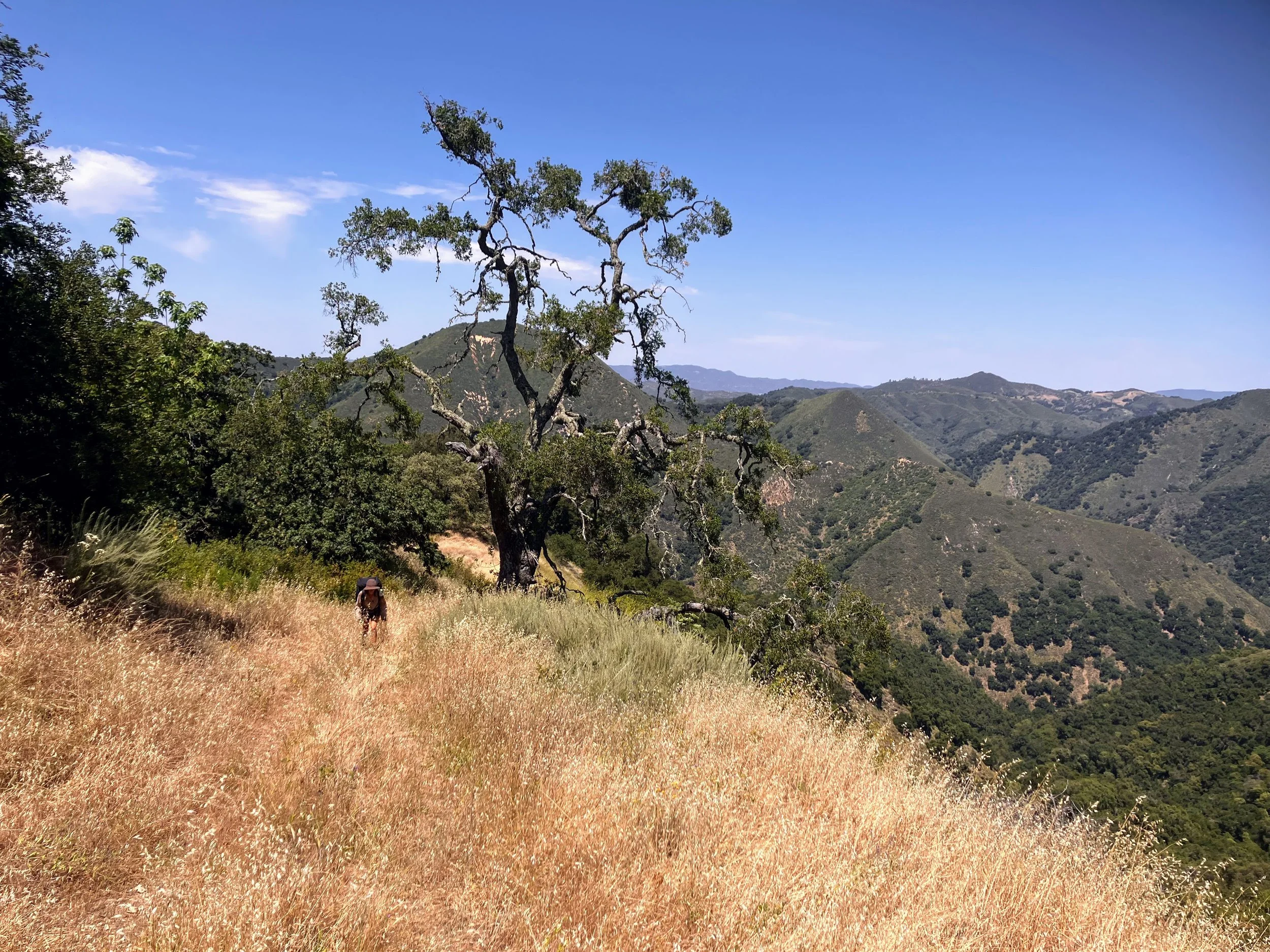 Fern Canyon Alternate Route