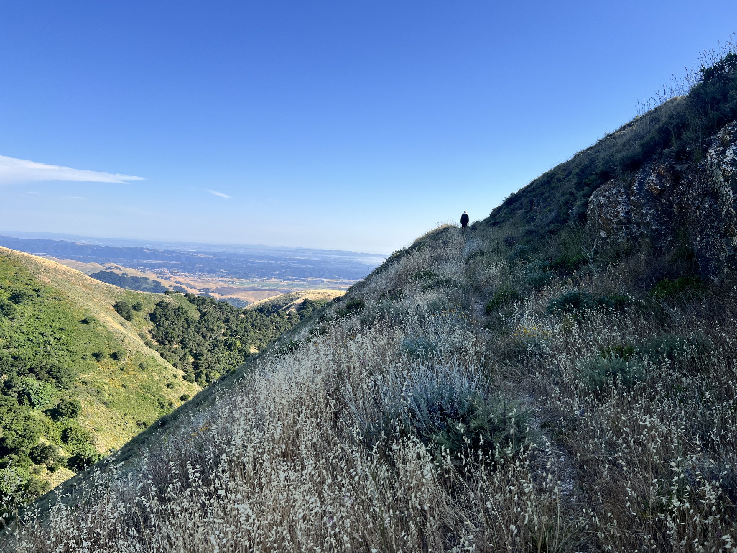 Reservoir Canyon Road Alternate Route