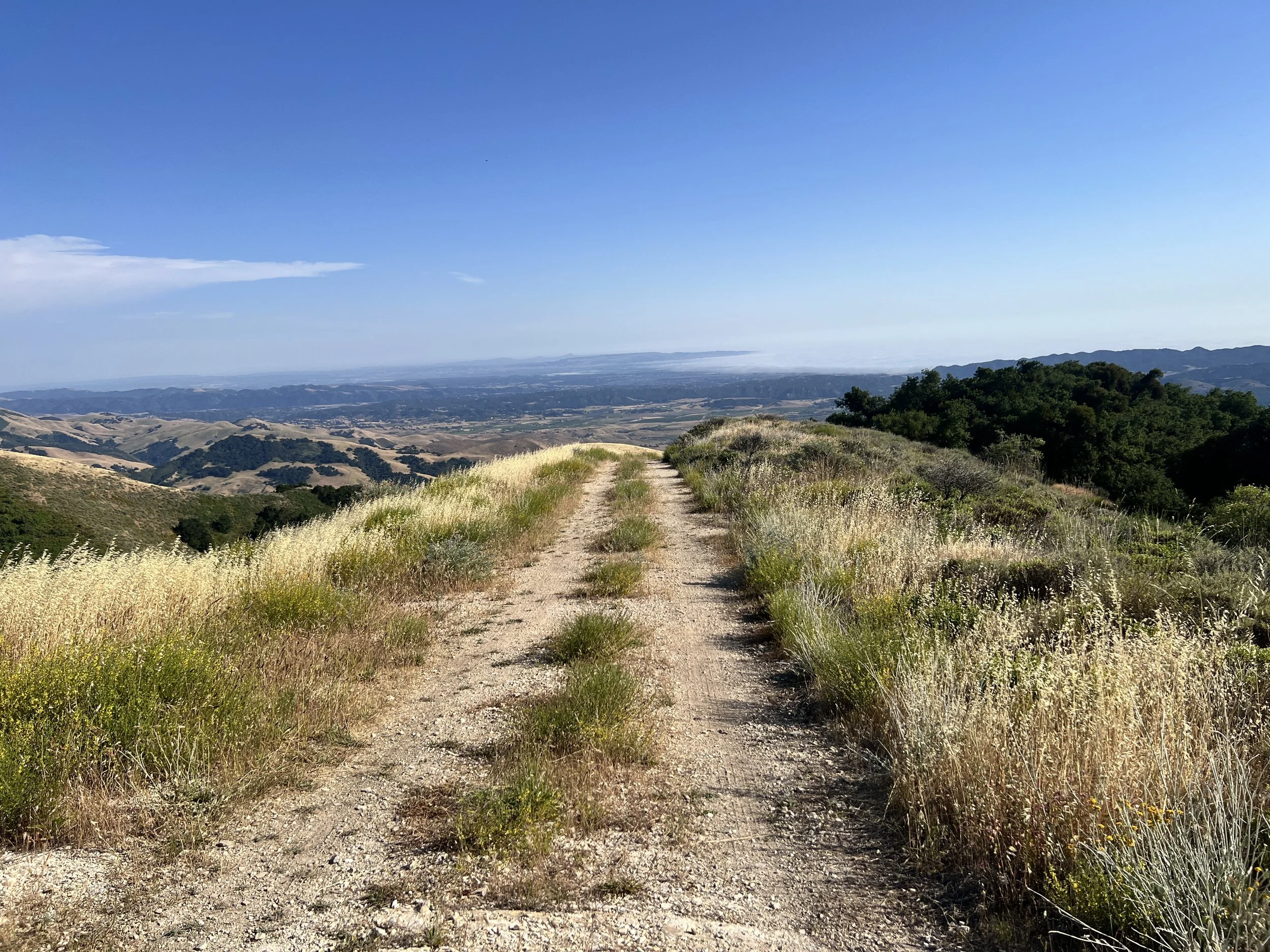 Mount Lowe Road (Still on Alternate)