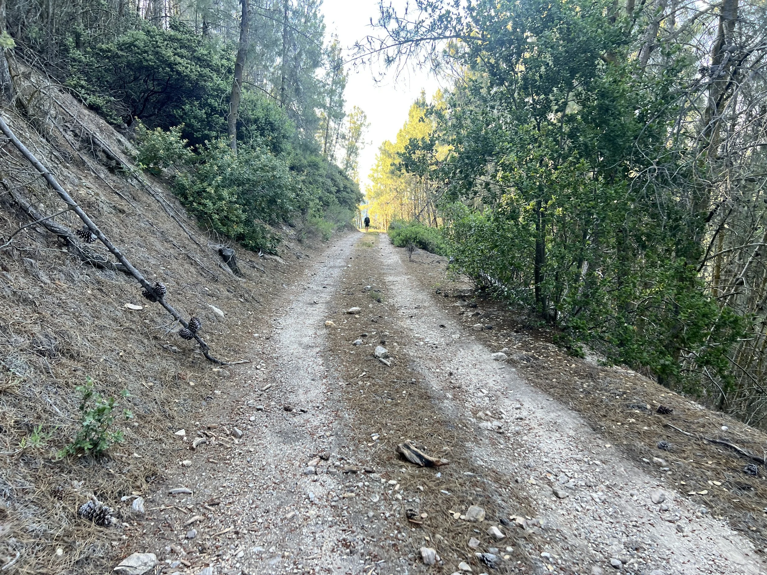 Mount Lowe Road (Still on Alternate)