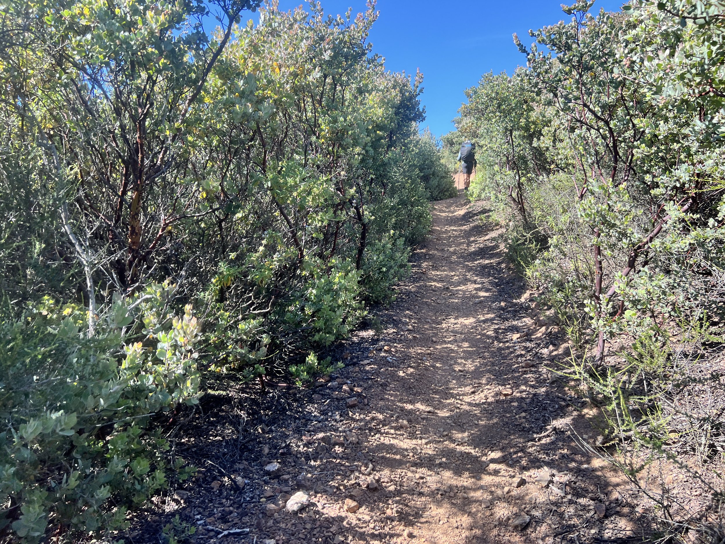 Cerro Alto Trail