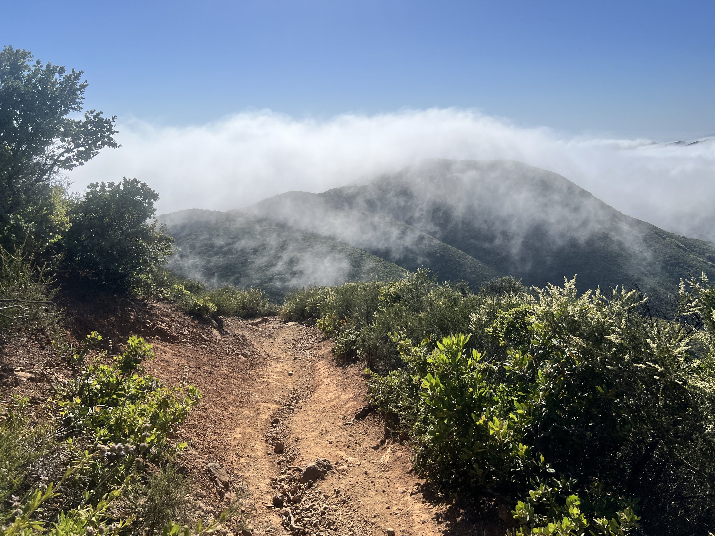 Cerro Alto Summit Trail
