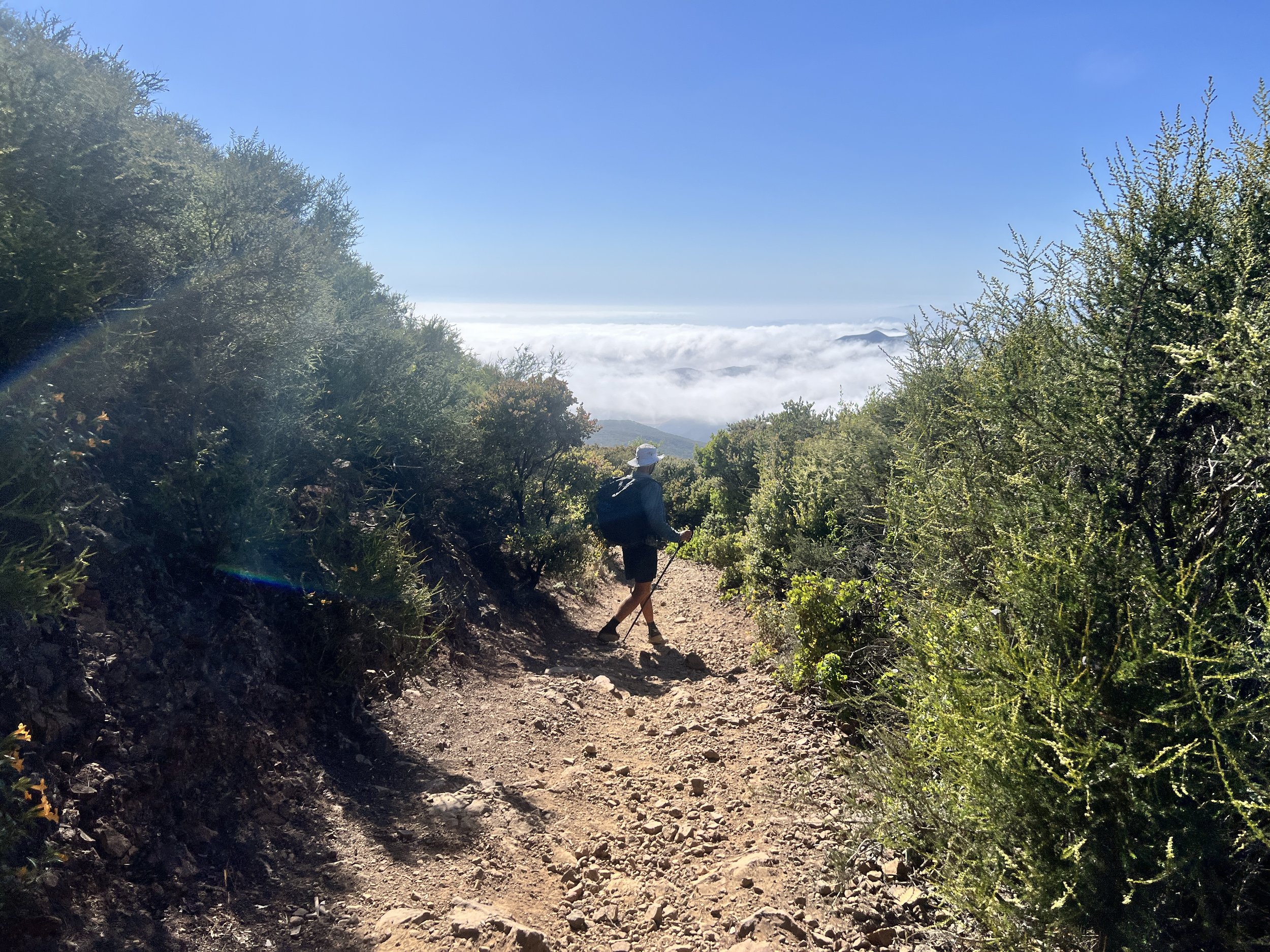 Cerro Alto Summit Trail