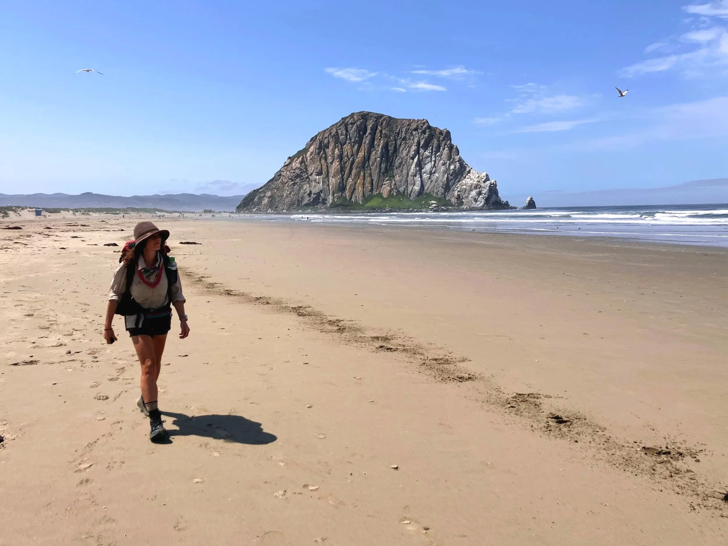 Morro Strand State Beach