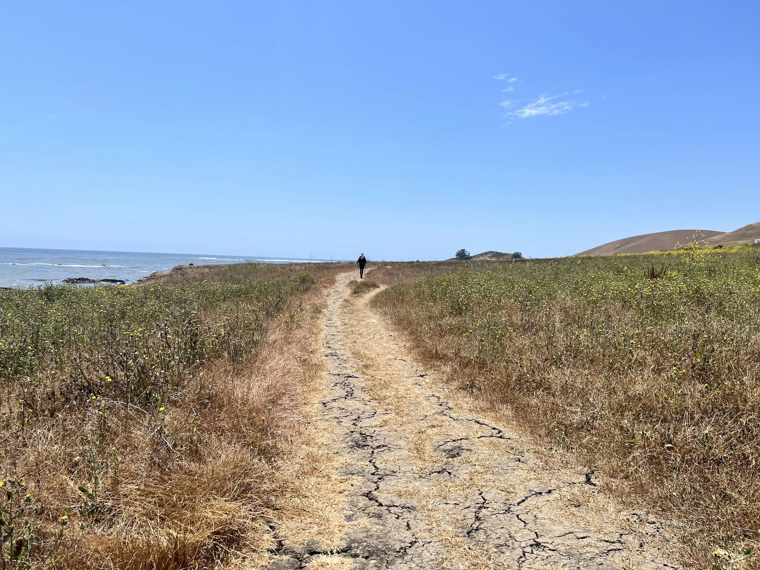 Estero Bluffs State Park