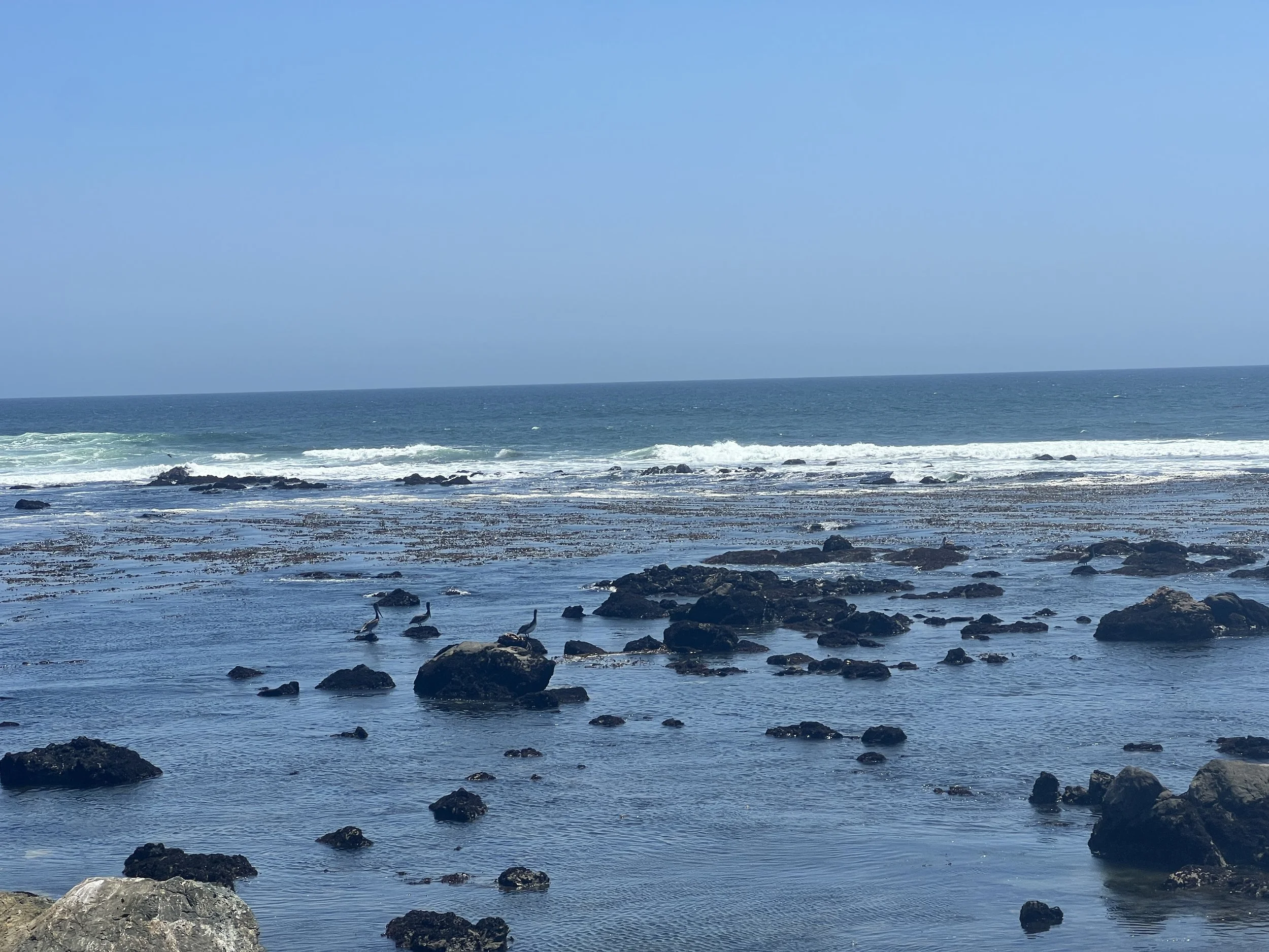 Estero Bluffs State Park