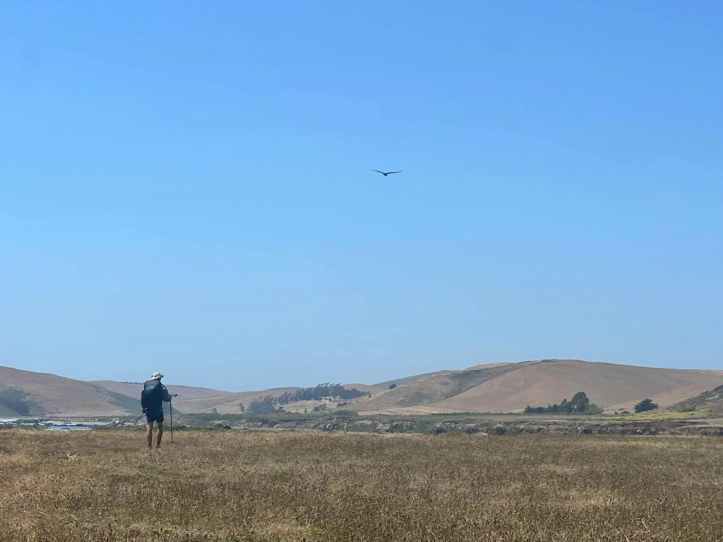 Estero Bluffs State Park