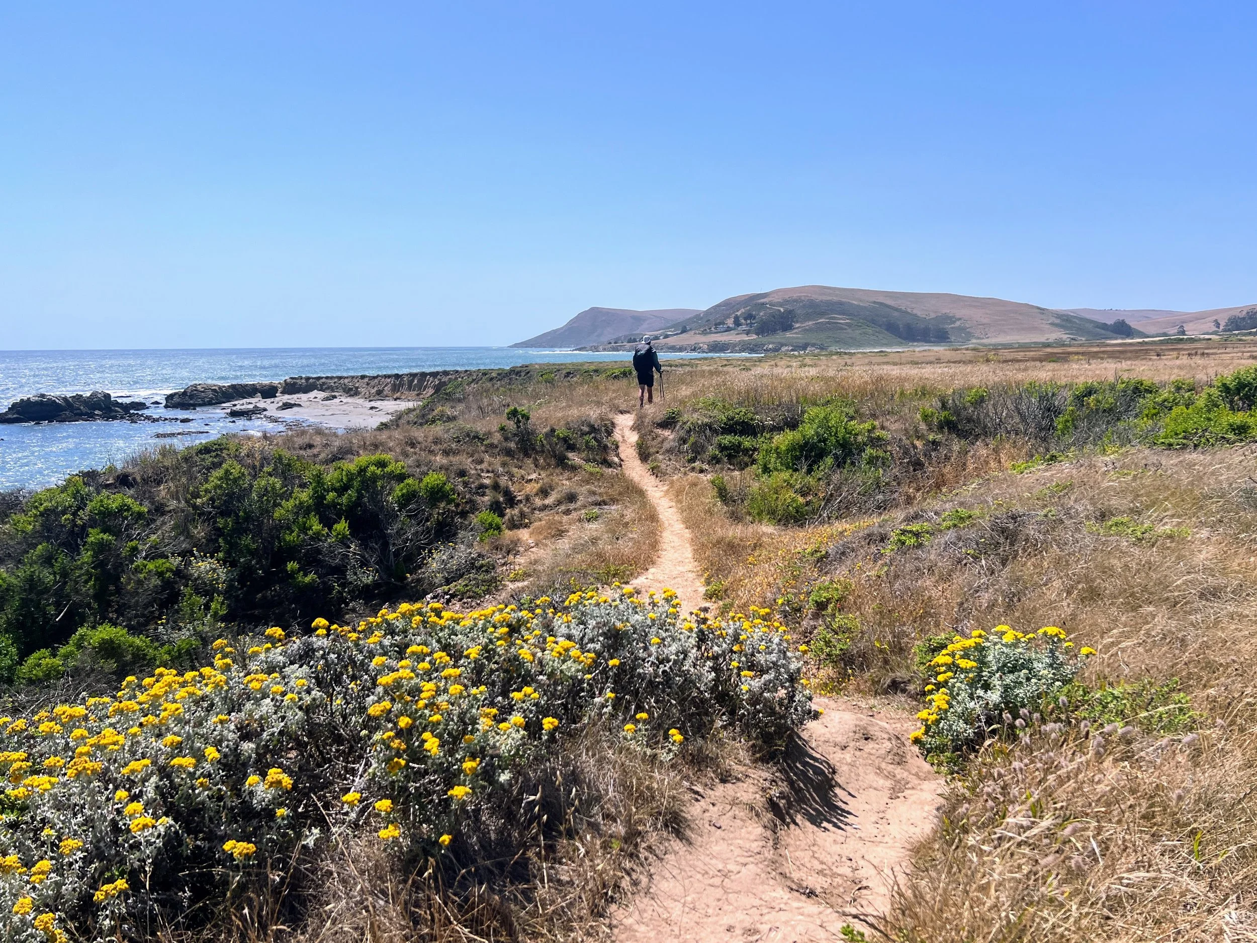 Estero Bluffs State Park