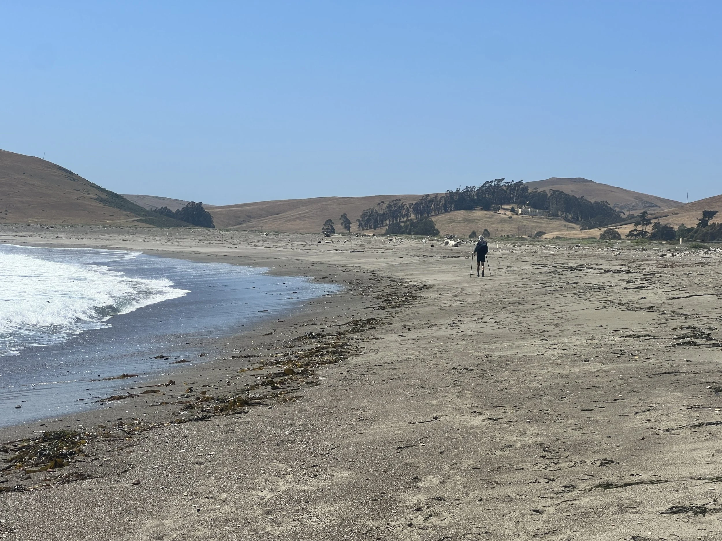 Estero Bluffs State Park