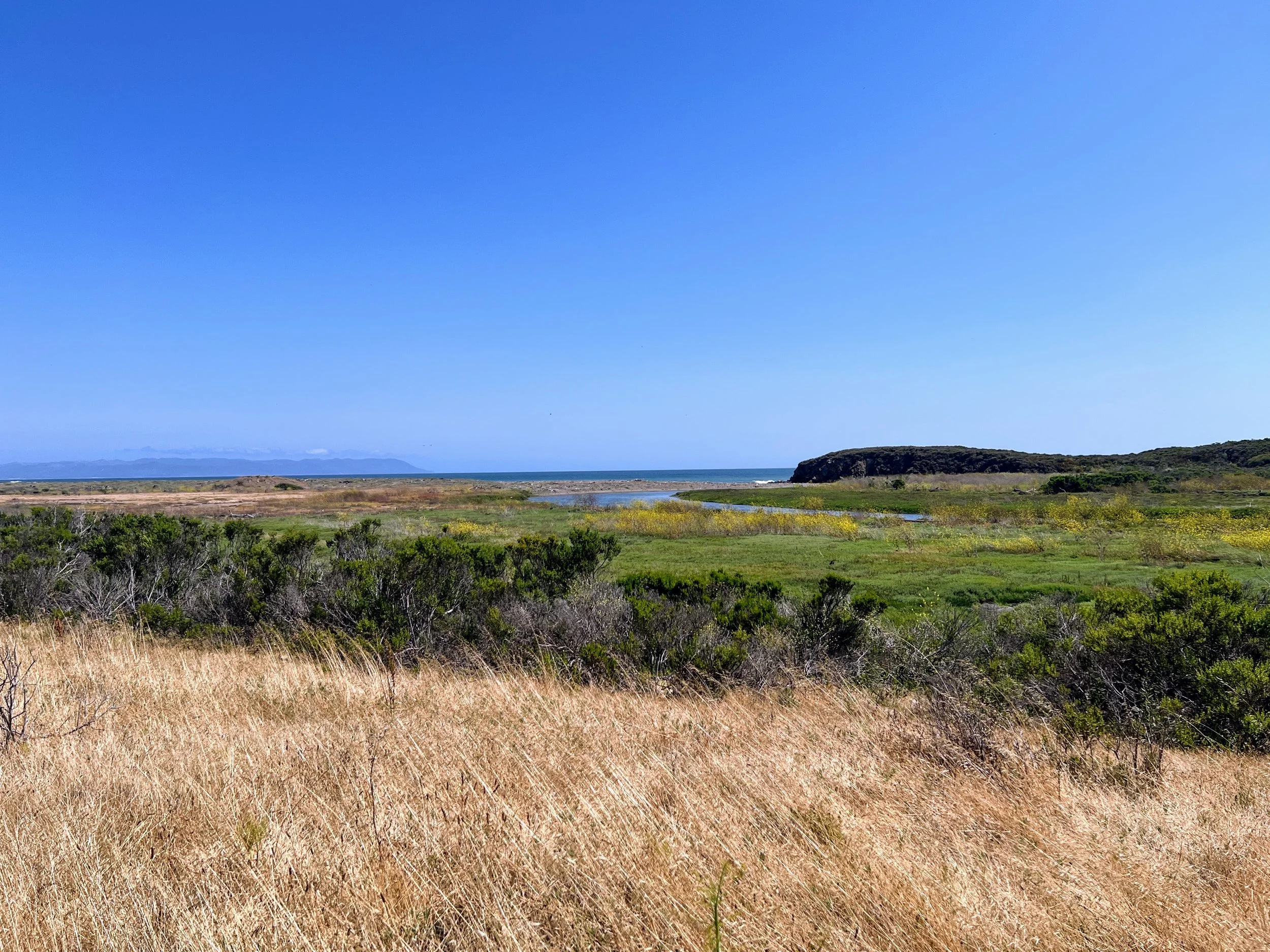 Estero Bluffs State Park