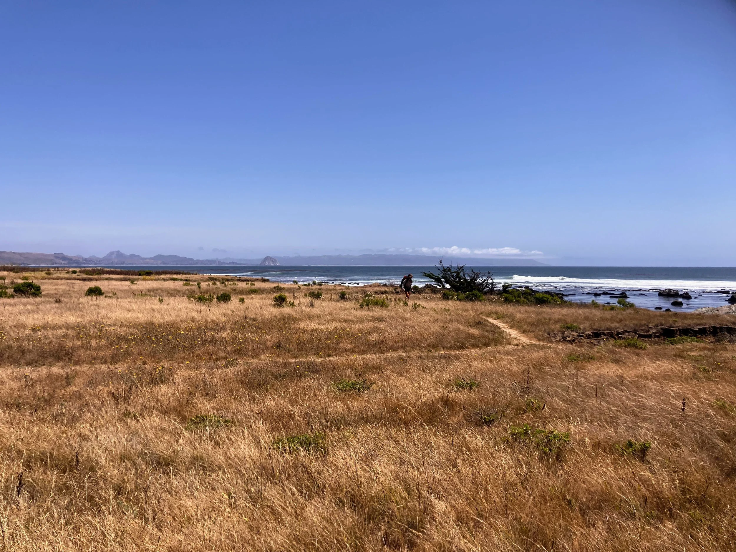 Estero Bluffs State Park
