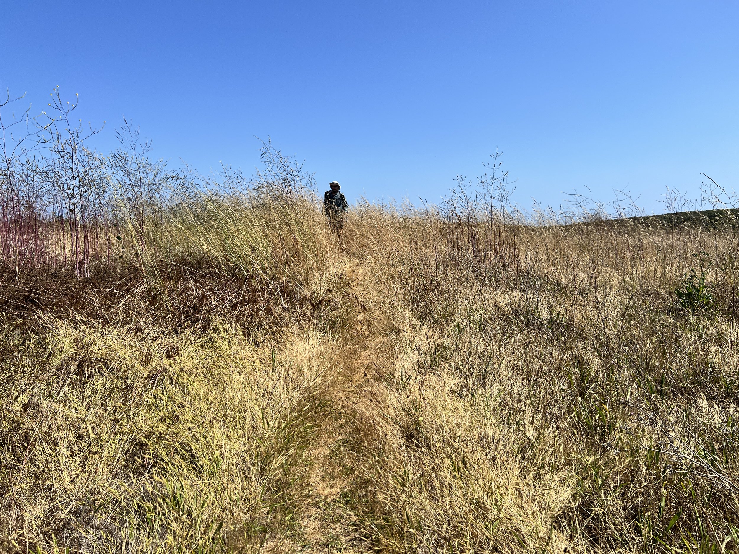 Estero Bluffs State Park