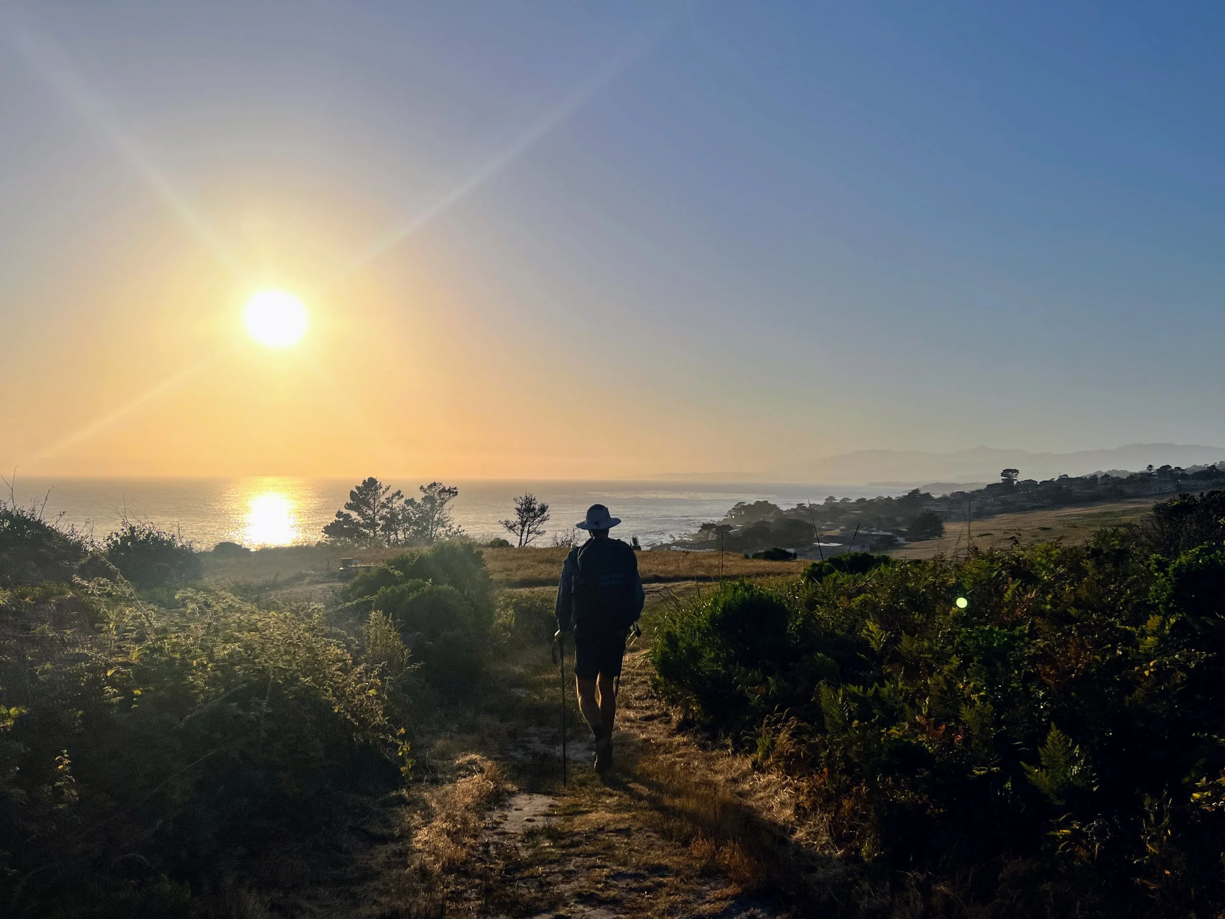 Fiscalini Ranch Preserve