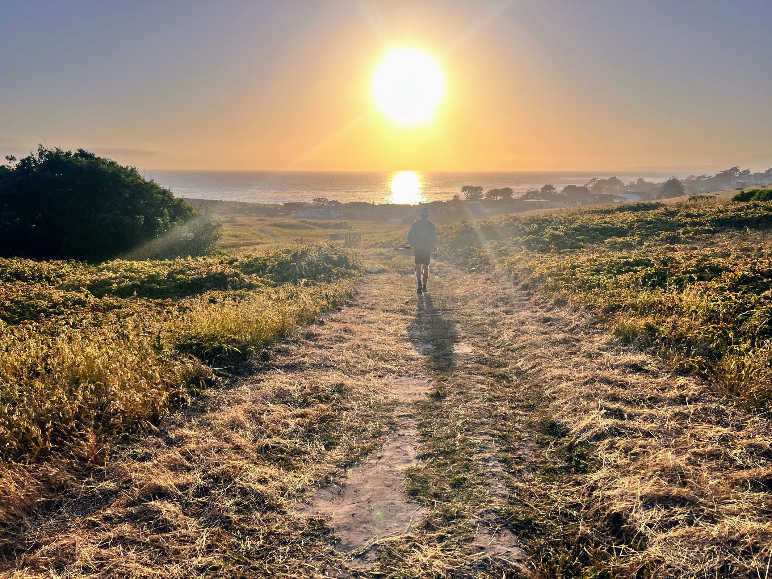 Fiscalini Ranch Preserve