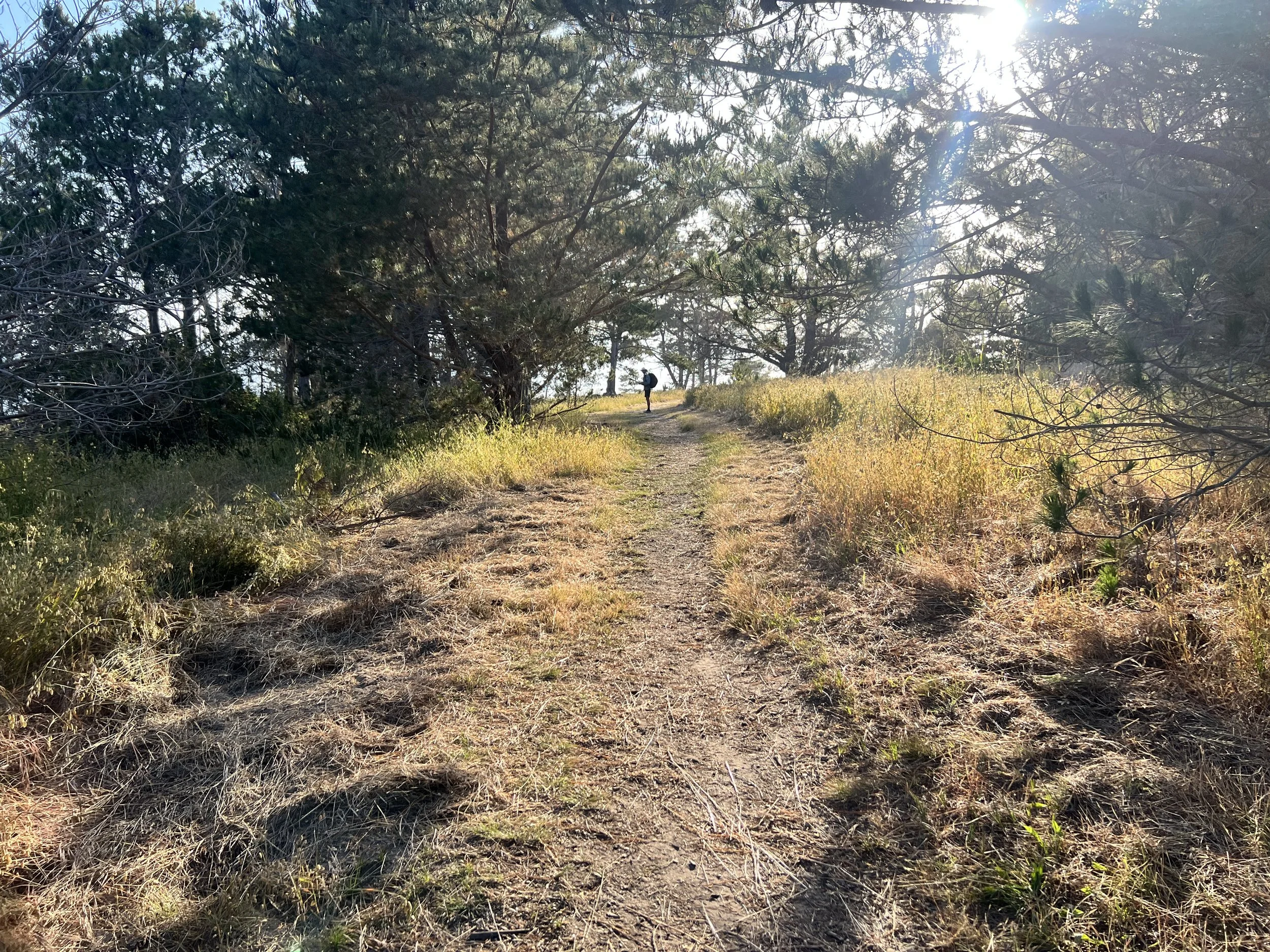 Fiscalini Ranch Preserve